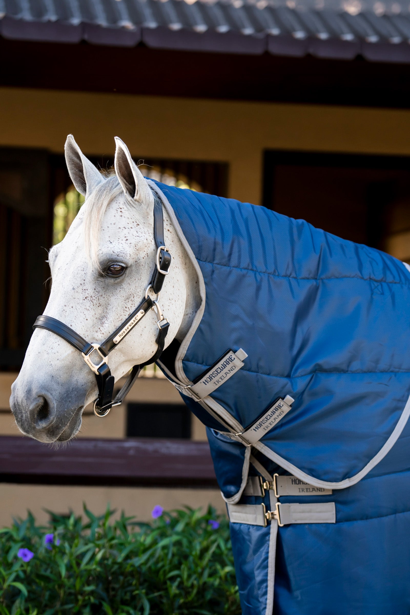 Horseware Amigo Ripstop Insulator stallhette, 100 g Dekken
