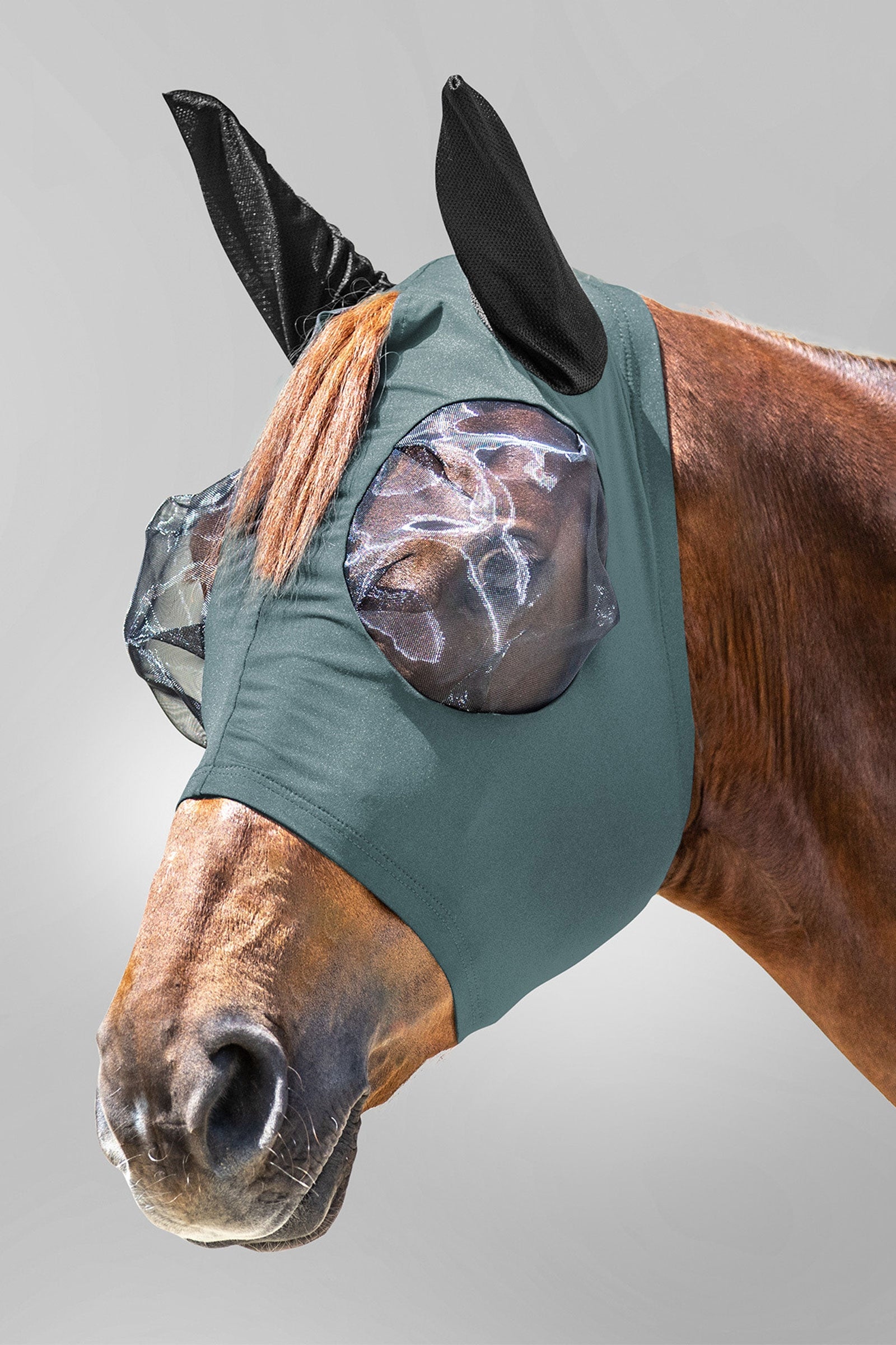 Waldhausen Puck fluemaske med glidelås og UV-beskyttelse Fluebeskyttelse til hest