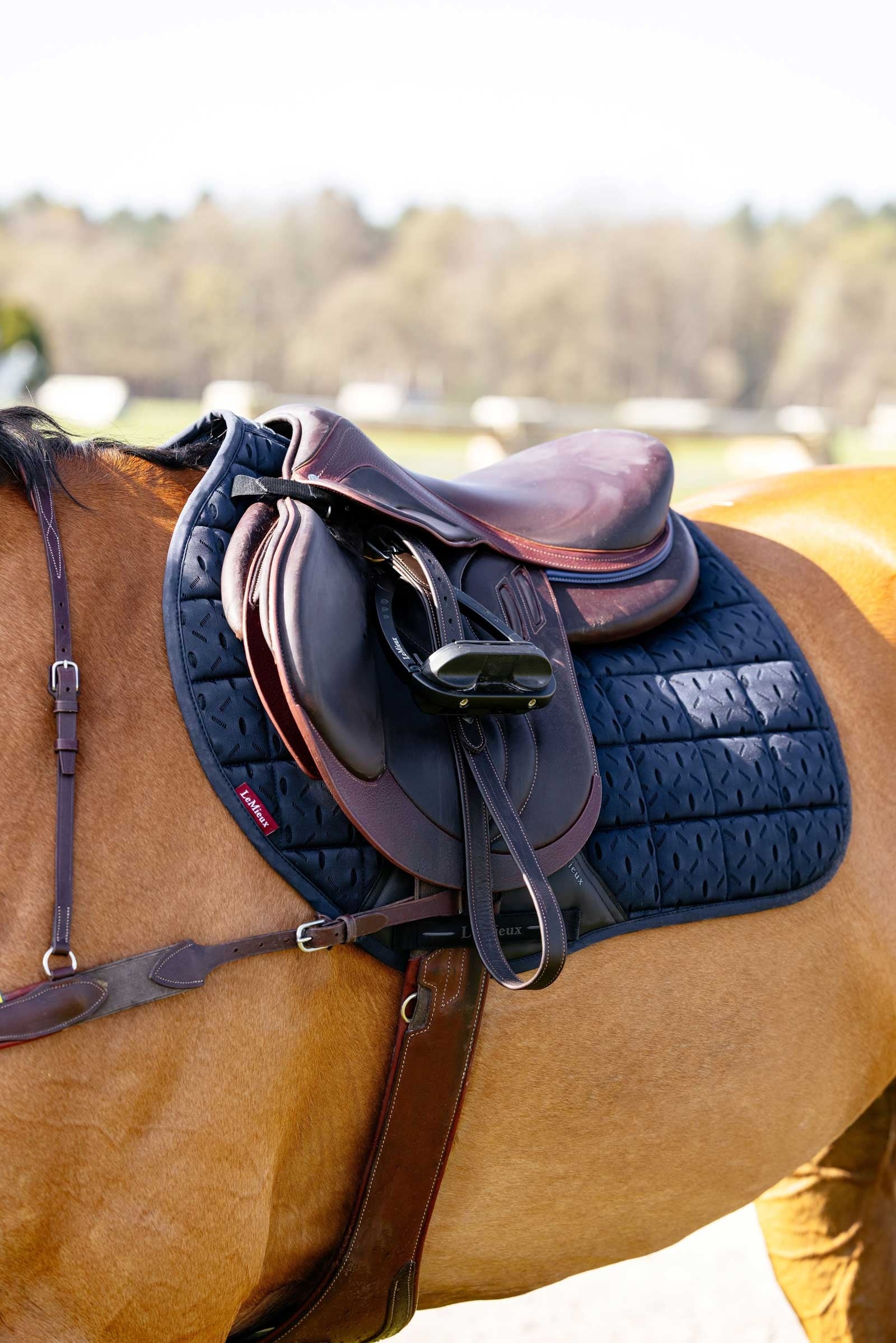 LeMieux 3D Mesh Self-Cool Eurojump Saddle Pad Saddle Pads