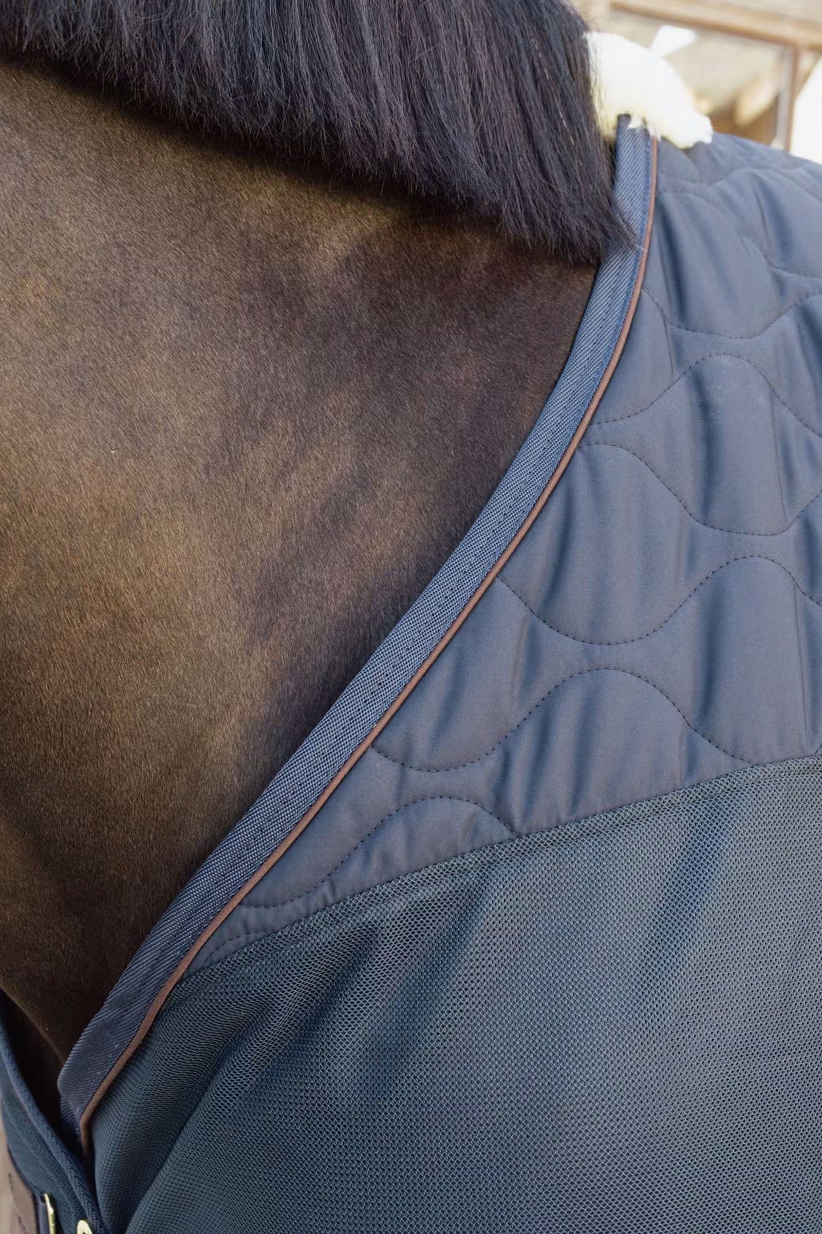 Kentucky Horsewear Transport combo cooler fleece rug Horse Rugs