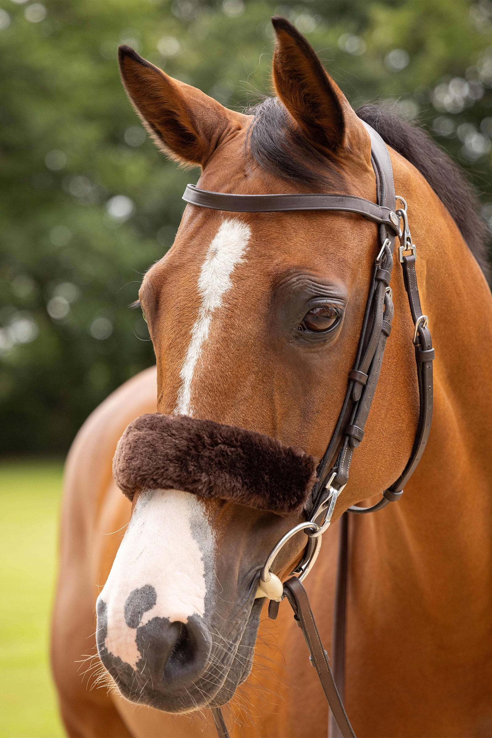 LeMieux Simuwool Noseband Cover Bridles & Reins