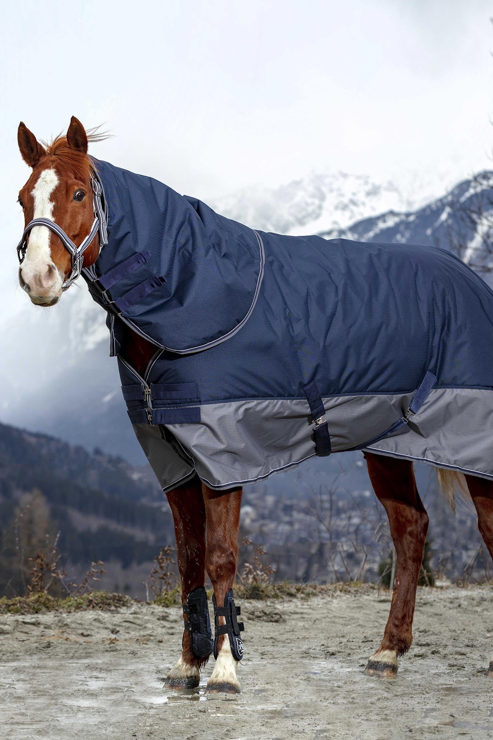 Equi Theme EQUITHÈME TYREX 600D Turnout Rug, 300 g Horse Rugs