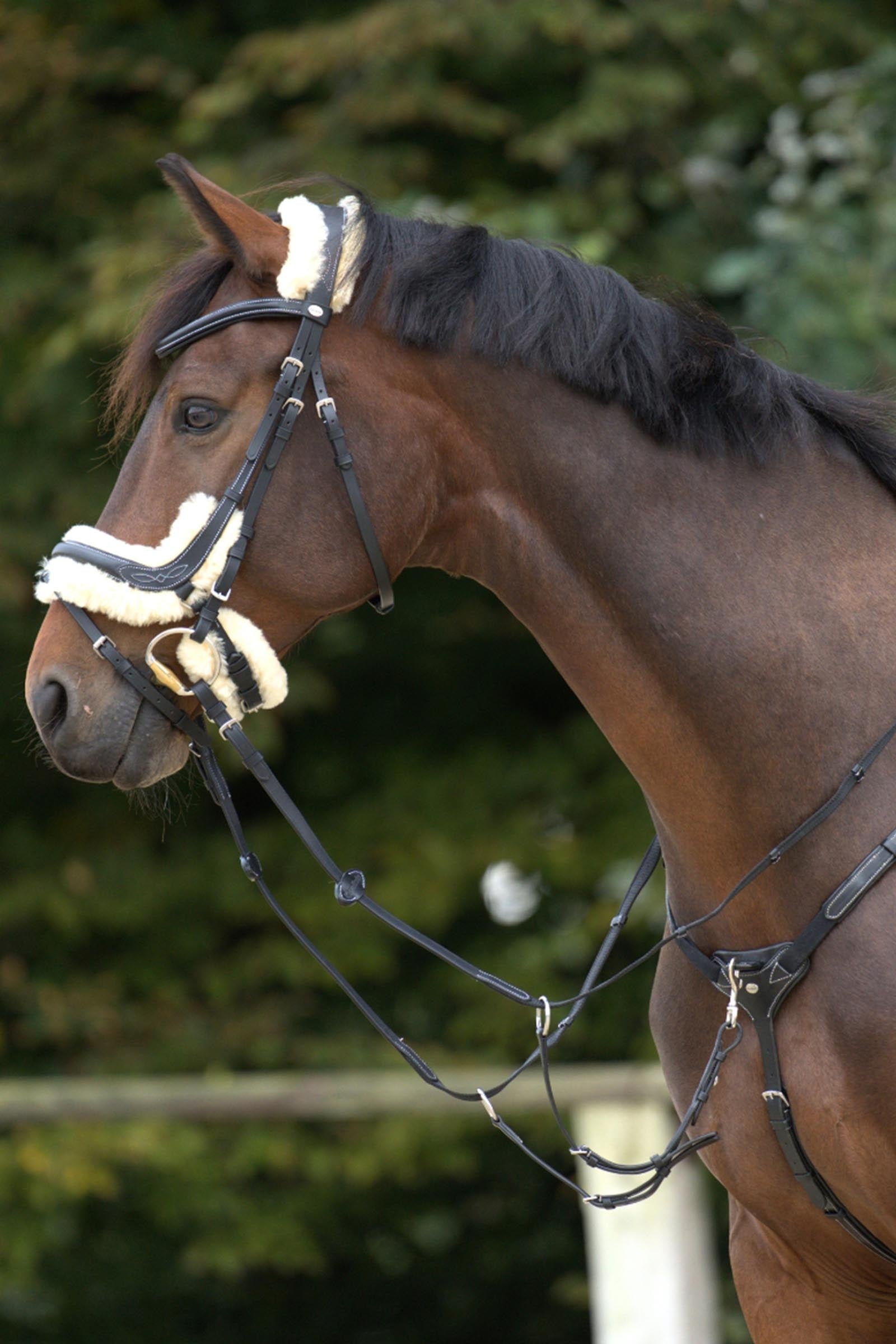 Kavalkade Bianca 5-Pt. Breastplate With Elastic Bridles & Reins