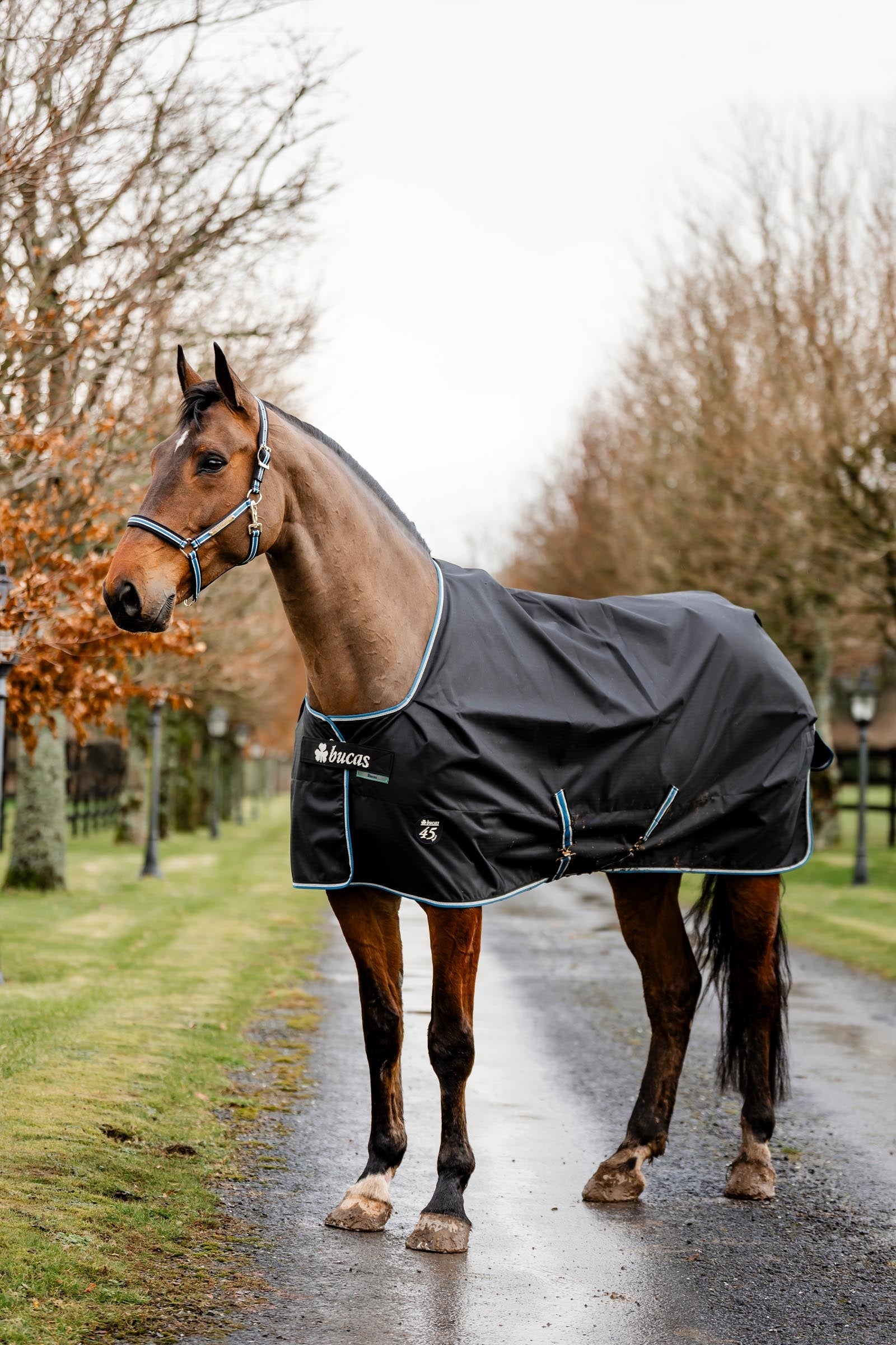 Bucas Anniversary SD Light Rain Turnout Rug, 0g Horse Rugs
