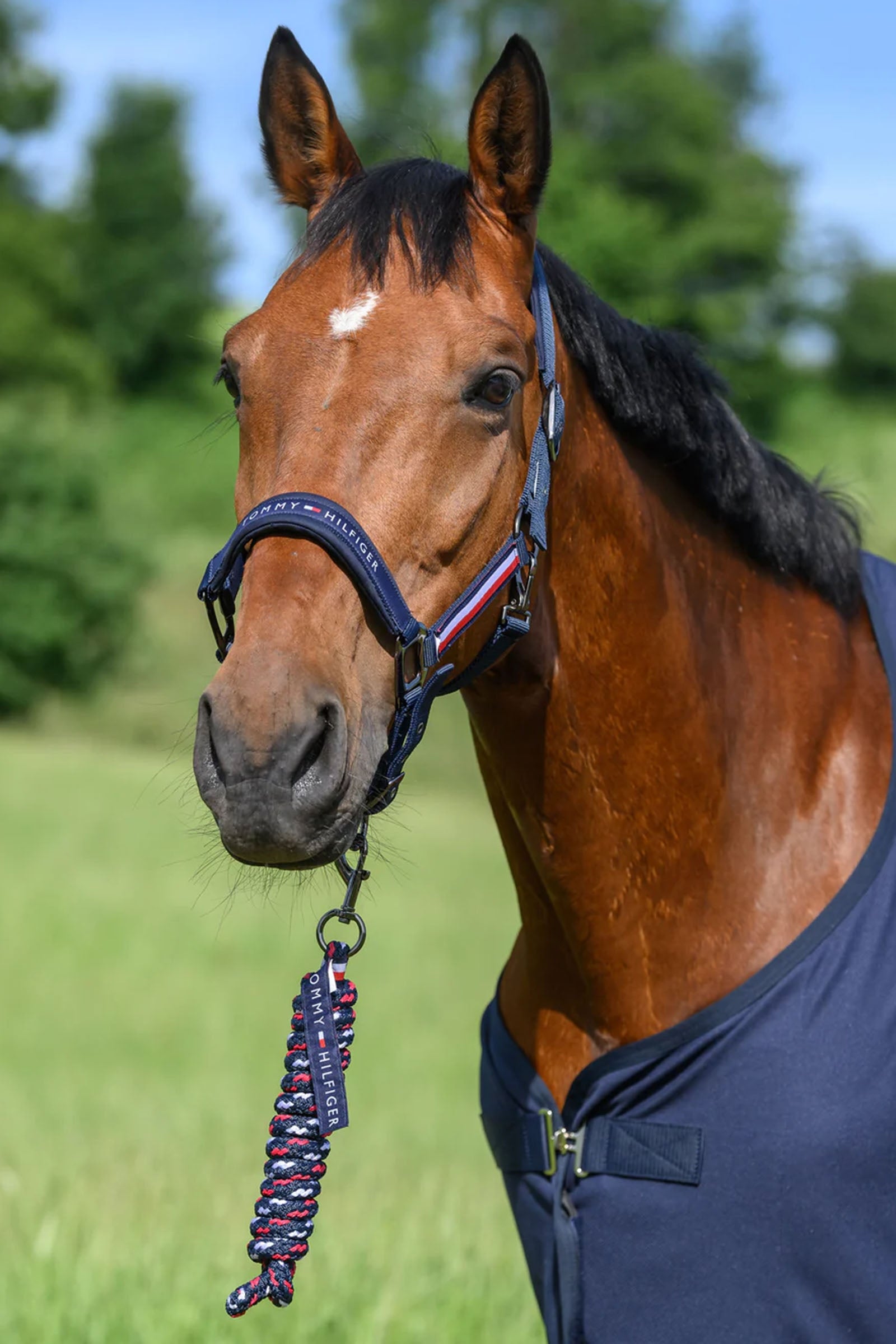 Tommy Hilfiger Equestrian Lincoln Halter Halters & Leads