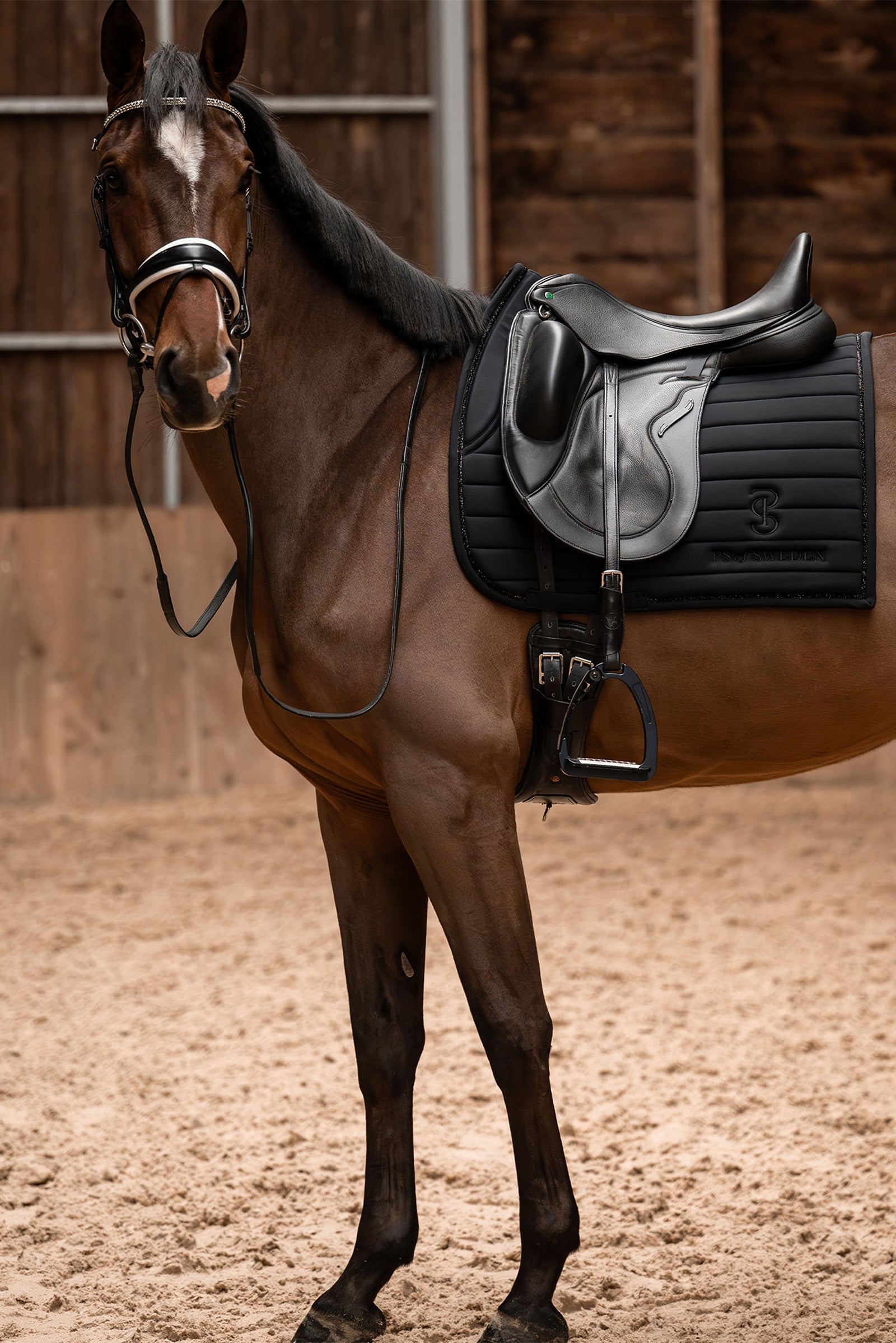 PS of Sweden Stripe Dressage Saddle Pad Saddle Pads
