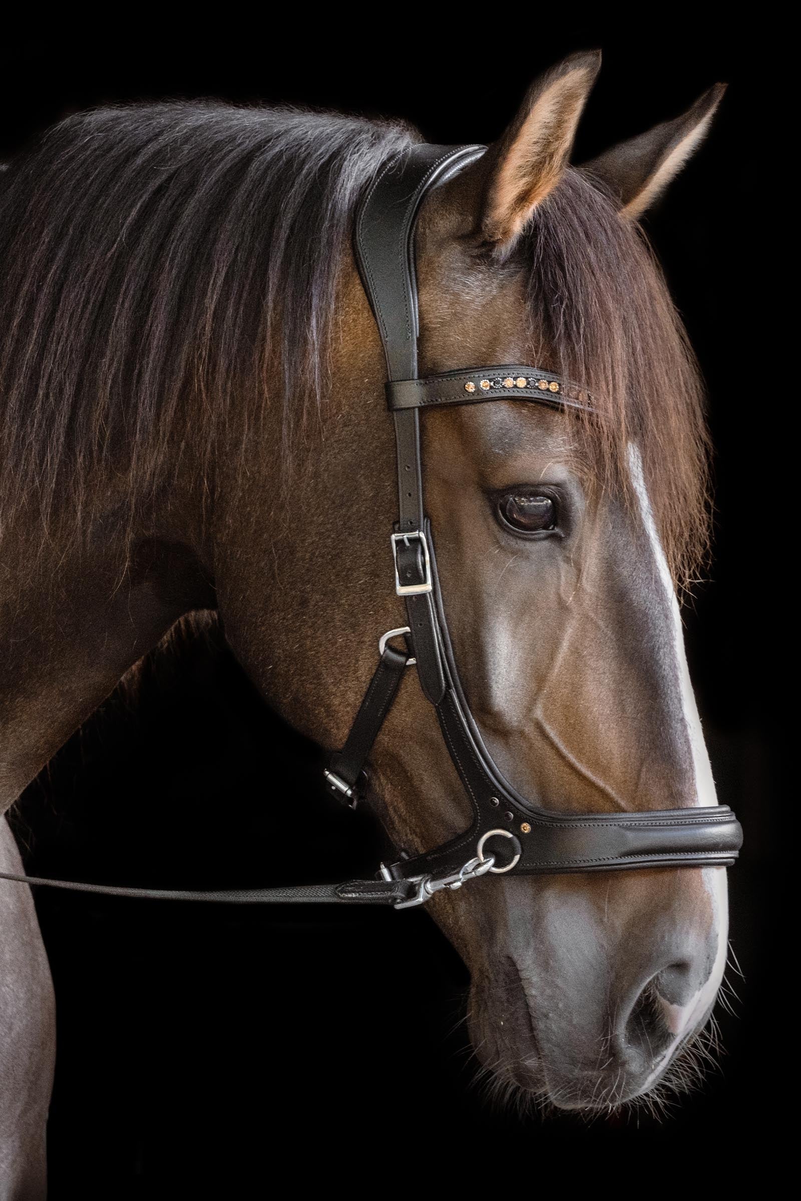 F.R.A. Freedom Riding Articles Moonlight Bitless Bridle, Side-Pull (System 3) Bridles & Reins