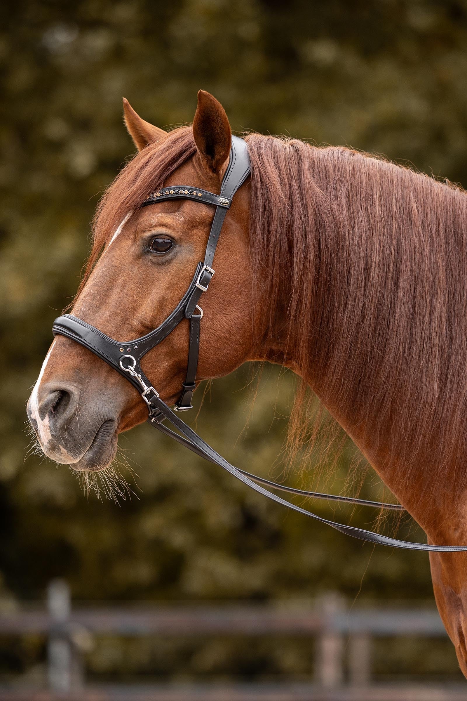 F.R.A. Freedom Riding Articles Moonlight Bitless Bridle, Side-Pull (System 3) Bridles & Reins