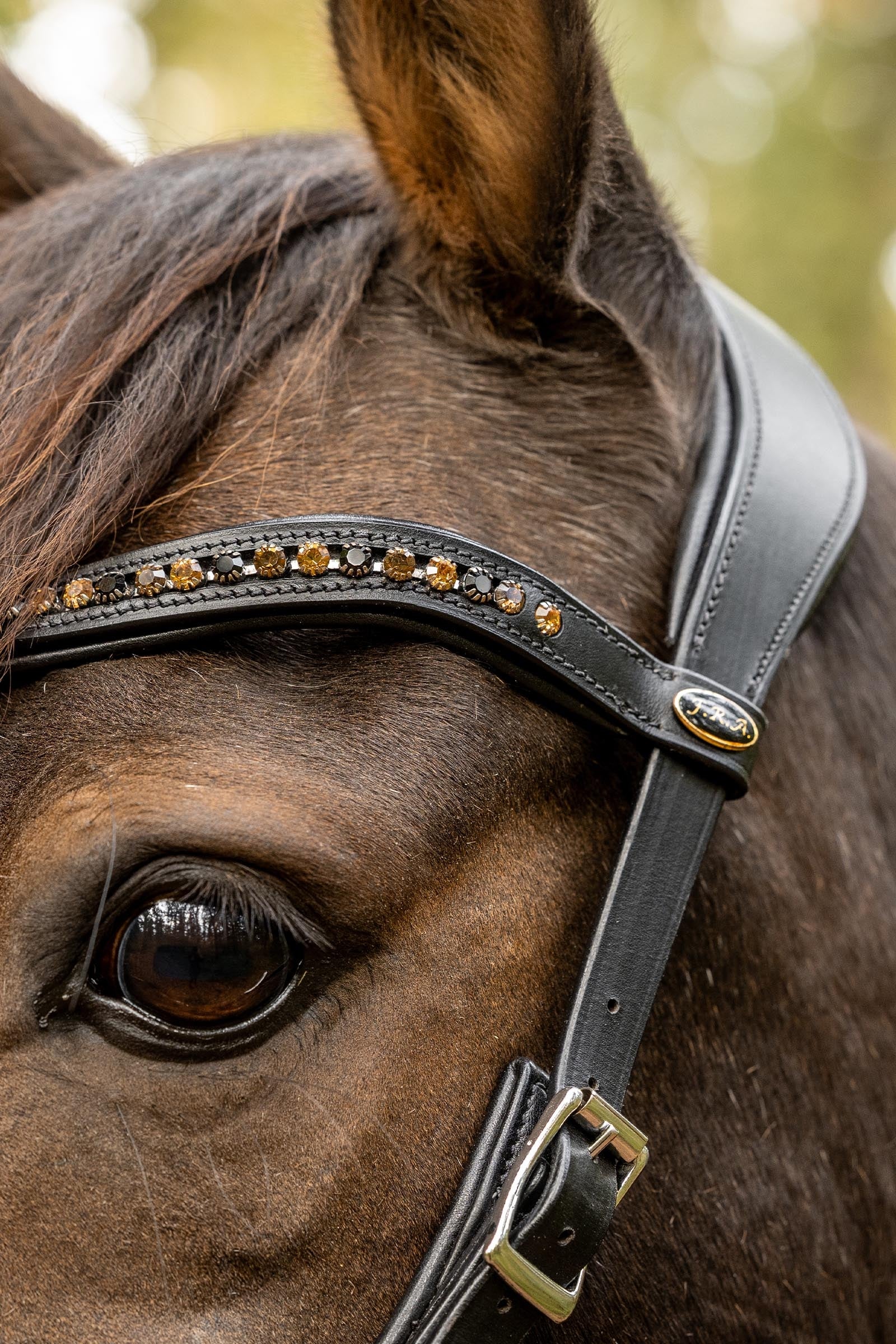F.R.A. Freedom Riding Articles Moonlight Bitless Bridle, Side-Pull (System 3) Bridles & Reins