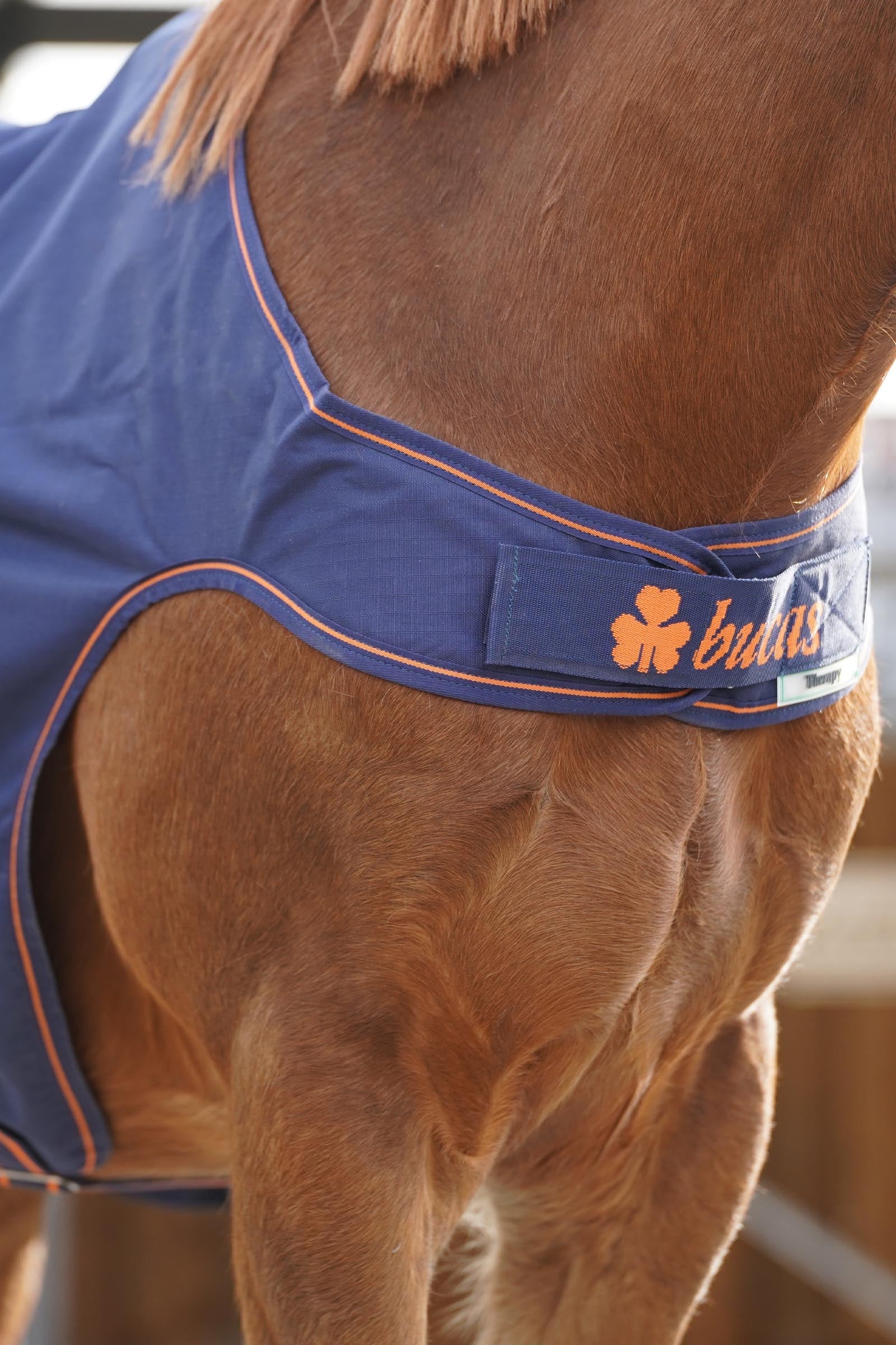 Bucas Therapy Walker Rug Horse Rugs