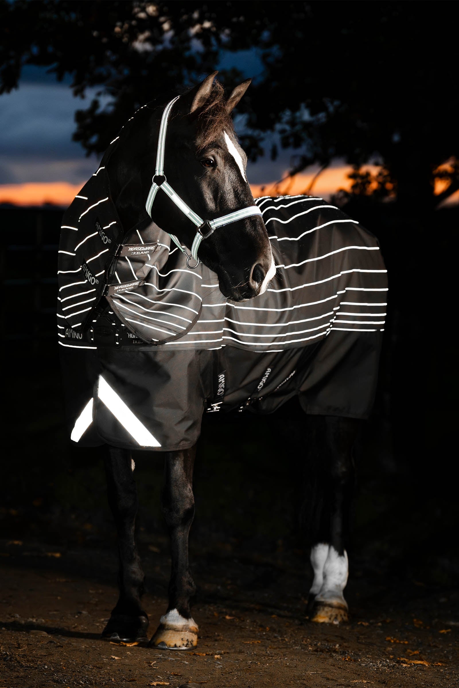Horseware Amigo 1200D FieldSafe Reflectech Plus ute-dekken, 250 g Dekken