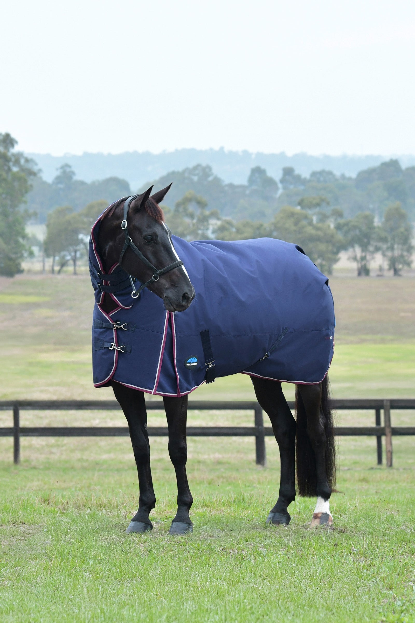 Weatherbeeta Comfitec Essential Turnout Rug With Fixed Neck, 220g Horse Rugs