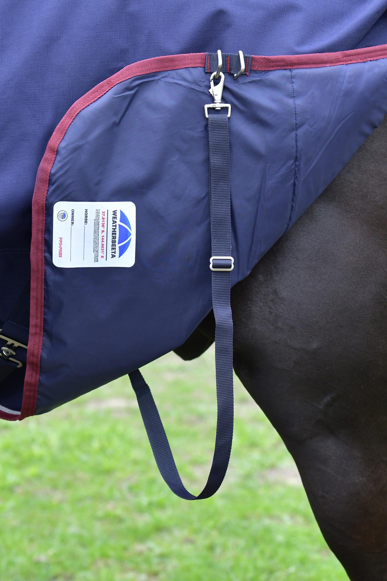 Weatherbeeta Comfitec Essential Turnout Rug With Fixed Neck, 220g Horse Rugs