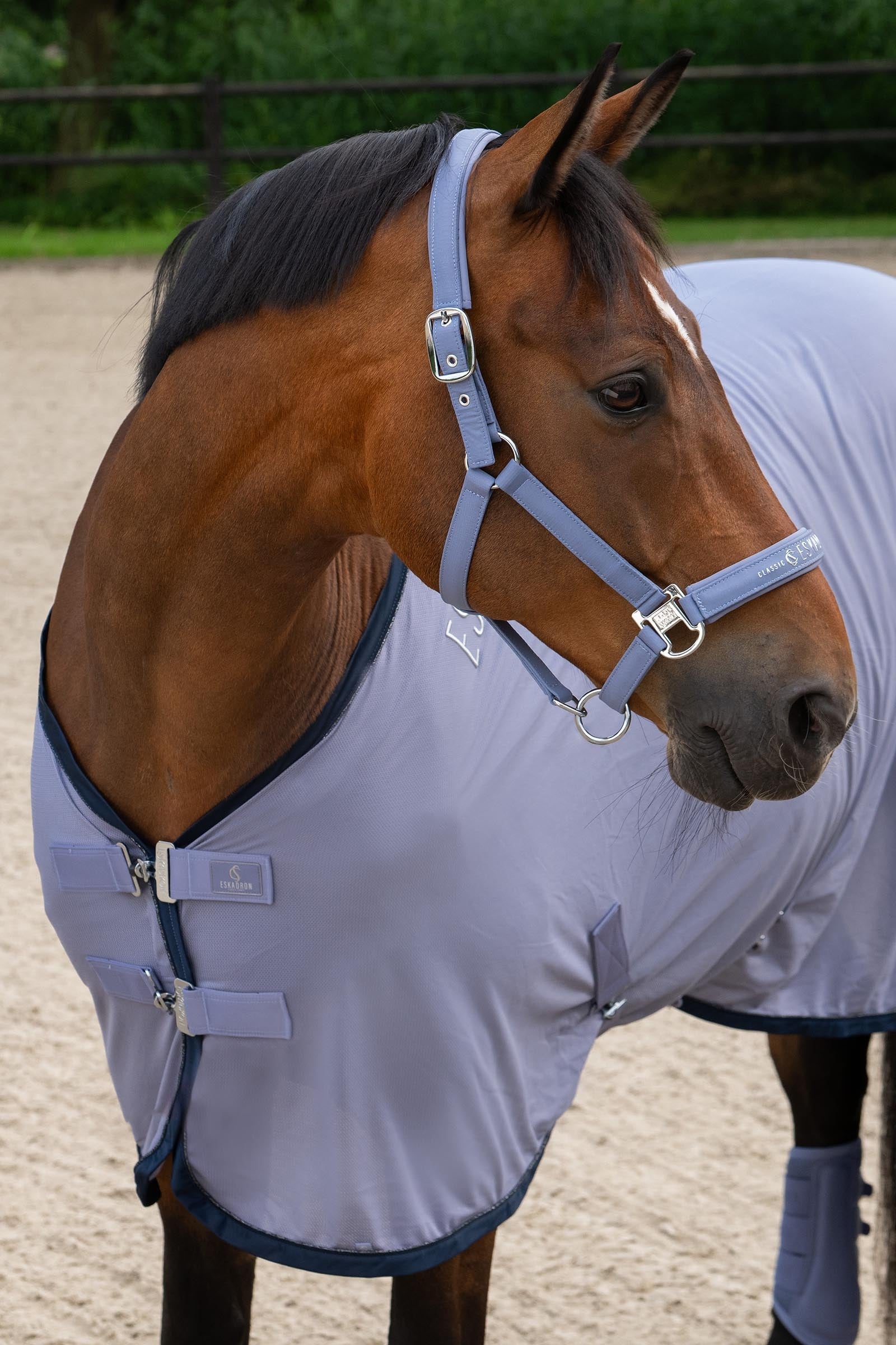 Eskadron Classic Sport SS26 Sparkle Double Pin Headcollar Halters & Leads