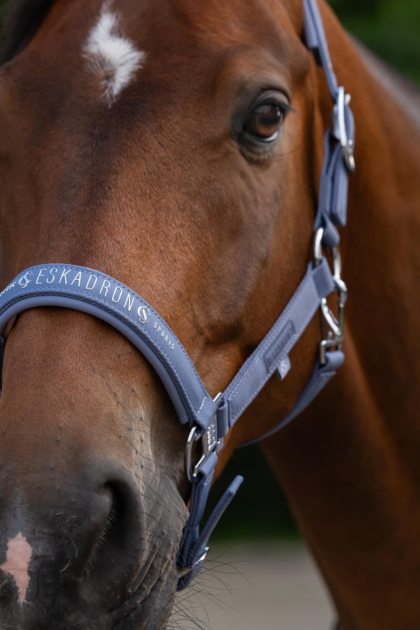 Eskadron Classic Sport SS26 Sparkle Double Pin Headcollar Halters & Leads