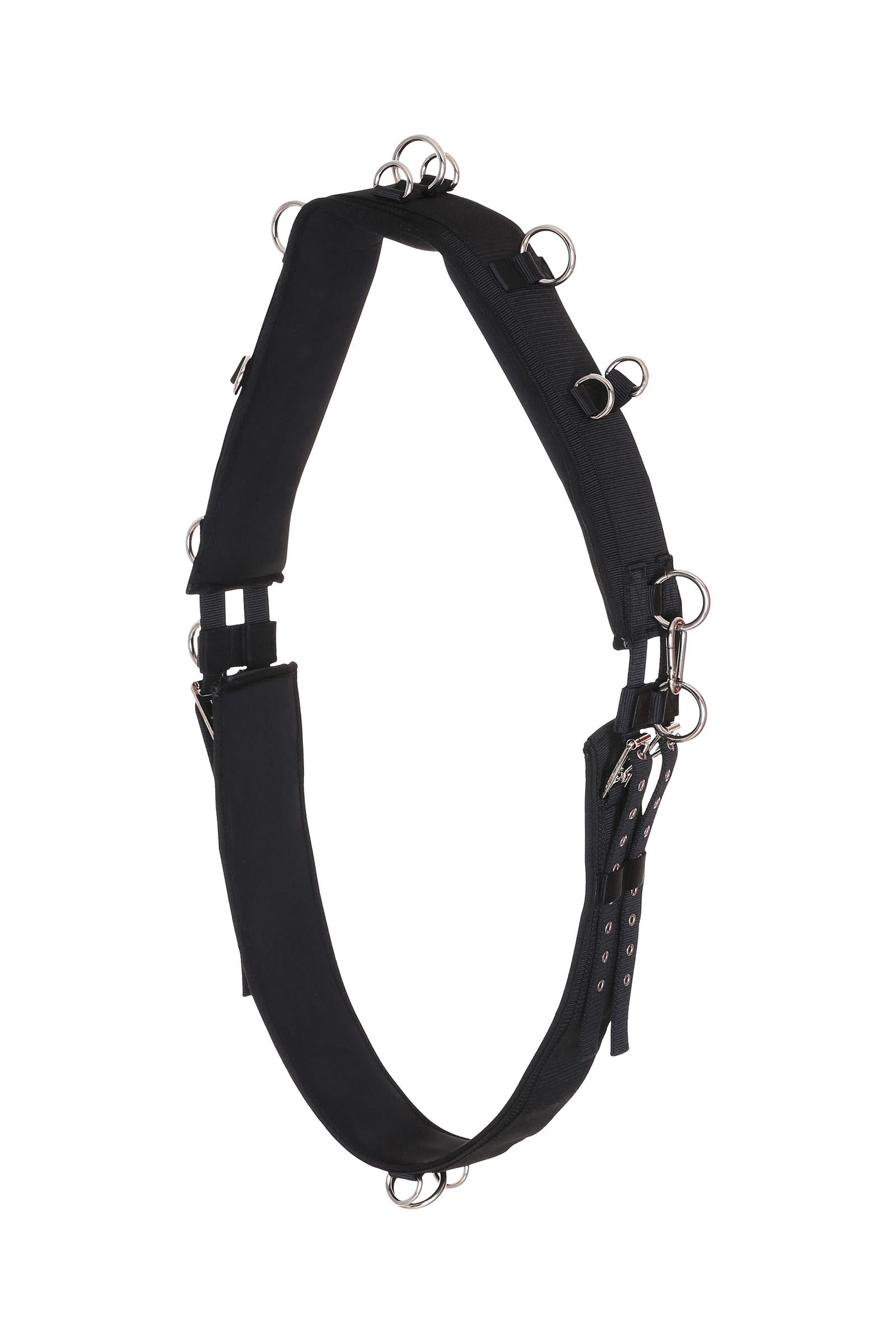 Horse Guard HorseGuard Lunging Girth Saler & gjorder