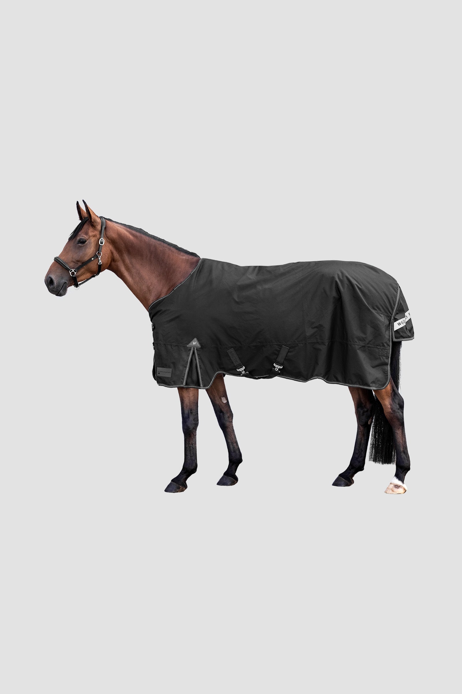Waldhausen Arctic Outdoor Rug, 100 g Dekken