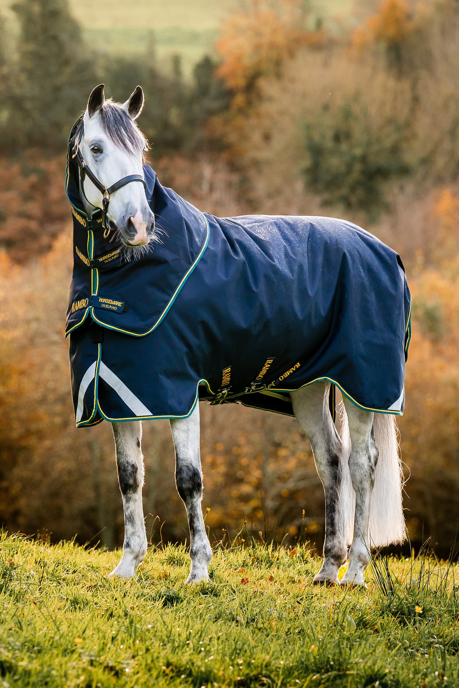 Horseware Rambo Force 2.0 utedekken, 100g (100 g yttertøy med 100 g liner og 300 g liner) Dekken