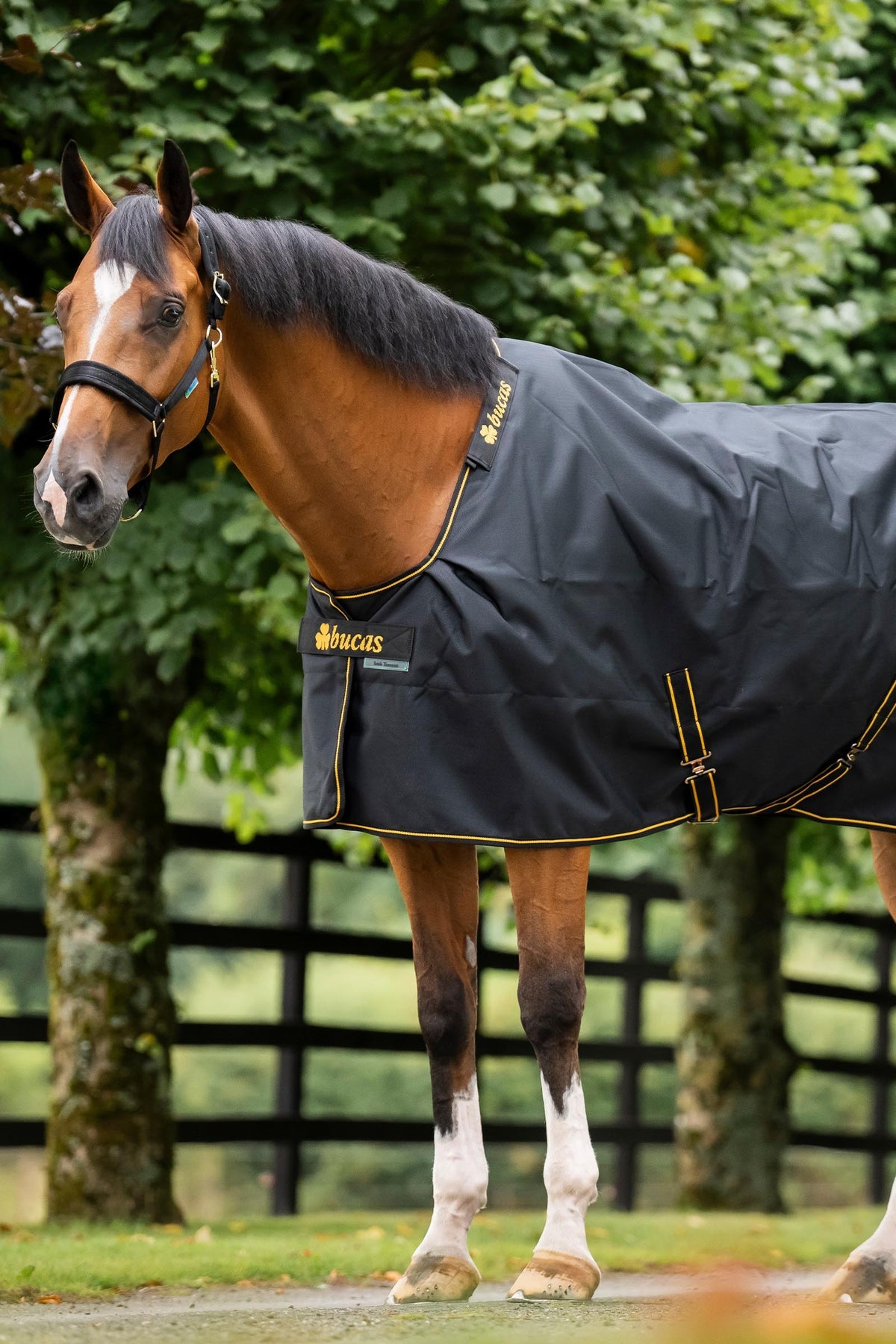 Bucas Irish Turnout Rug 0g Horse Rugs