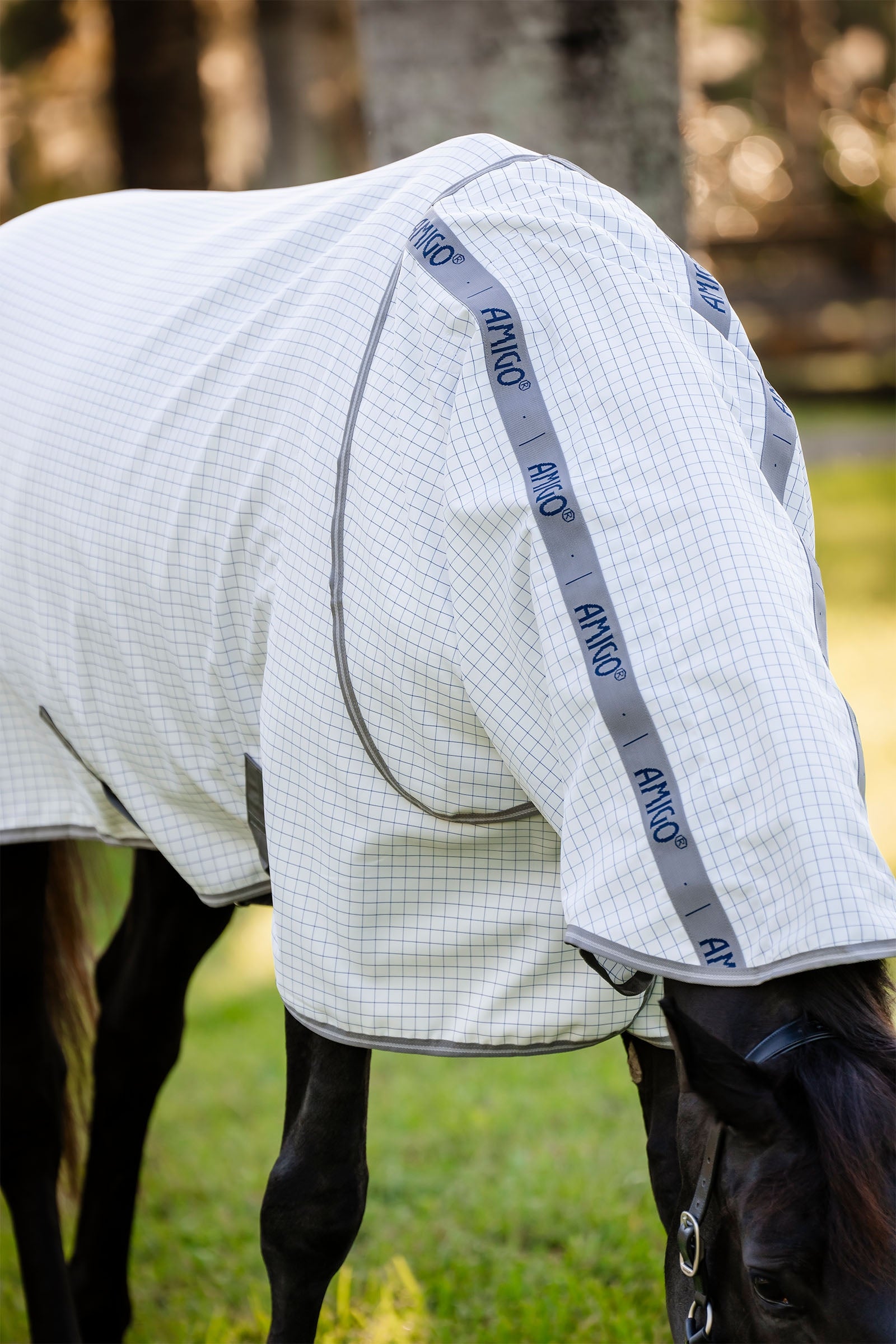Horseware Amigo Summer Sheet Plus Horse Rugs