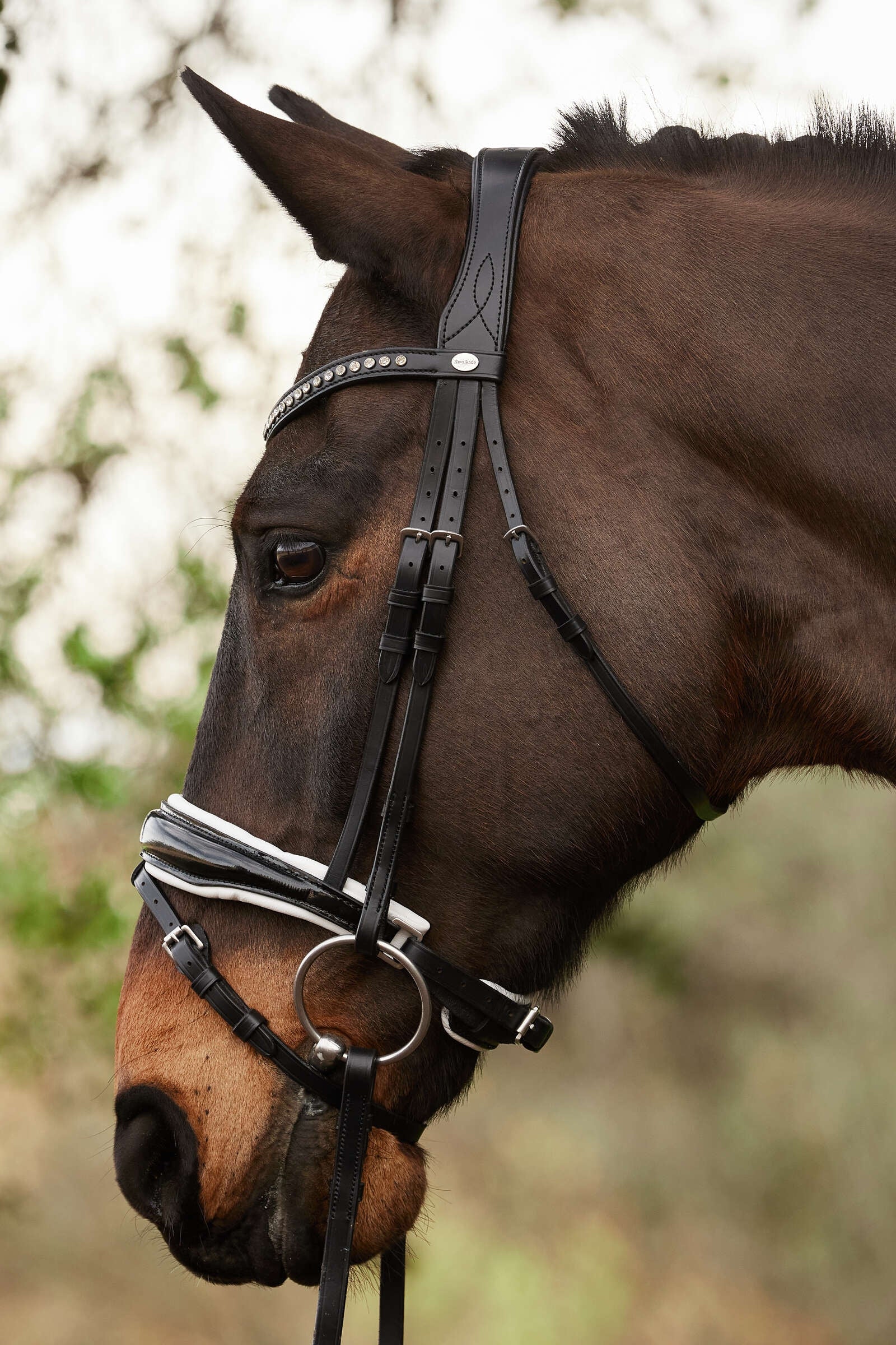 Kavalkade Charlotte Dressage Bridle Crank Noseband Bridles & Reins