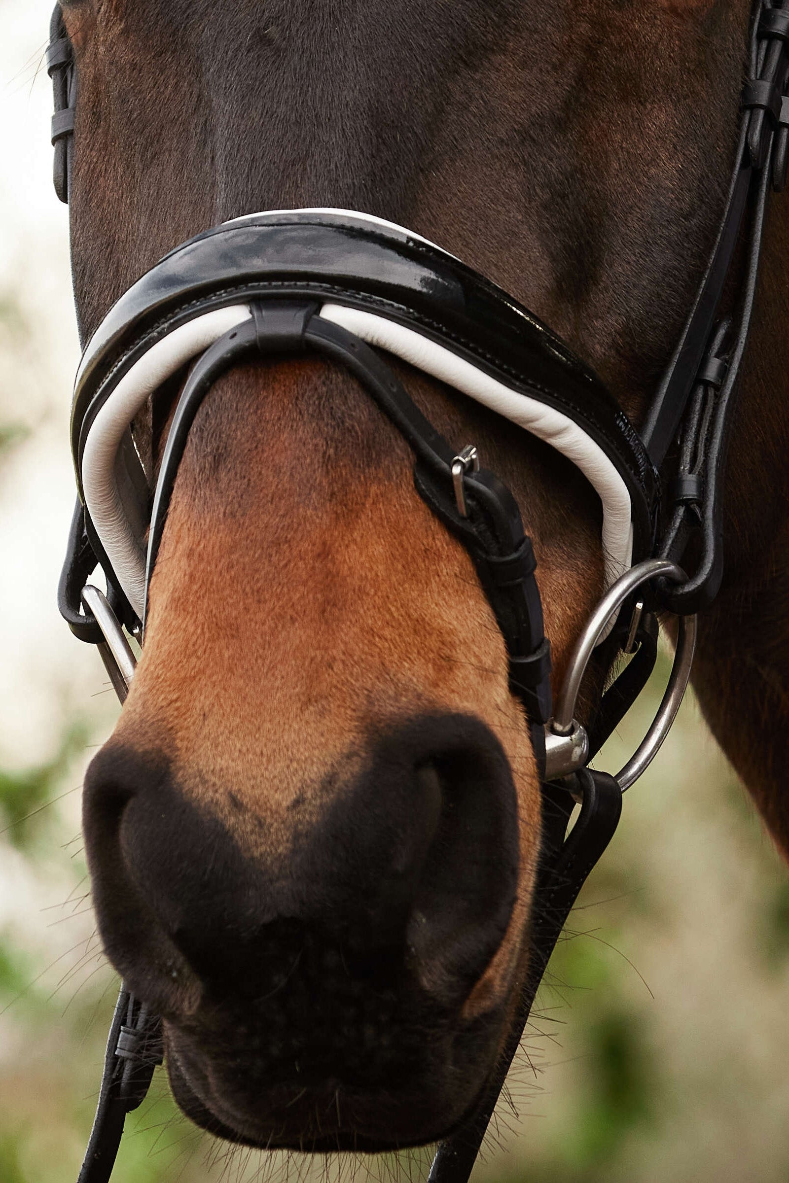 Kavalkade Charlotte Dressage Bridle Crank Noseband Bridles & Reins