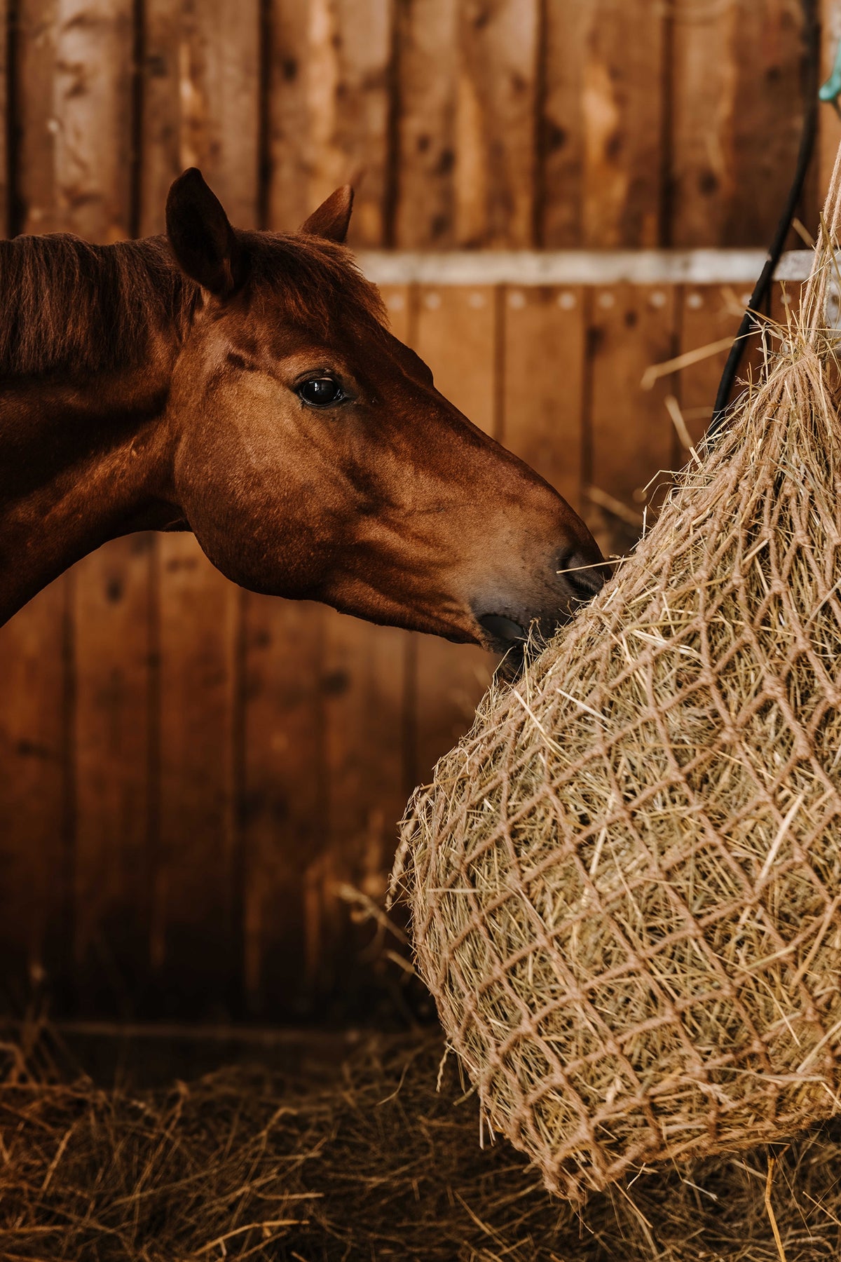 HIPPOTONIC Jute Hay Net (105 cm) Horse Feeders & Waterers