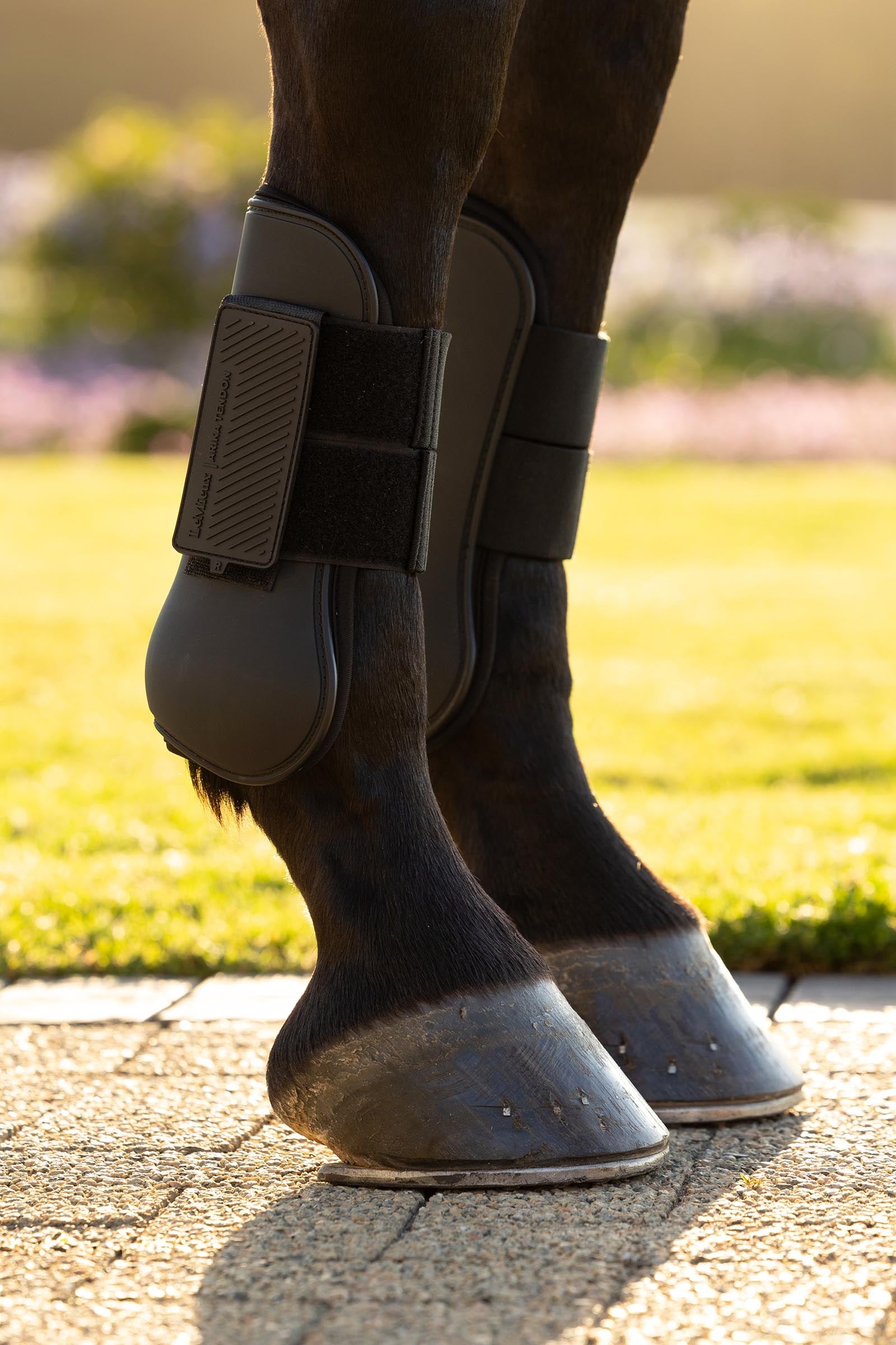 LeMieux Arika Tendon Boots Leg Protection & Hoof Protection for Horses