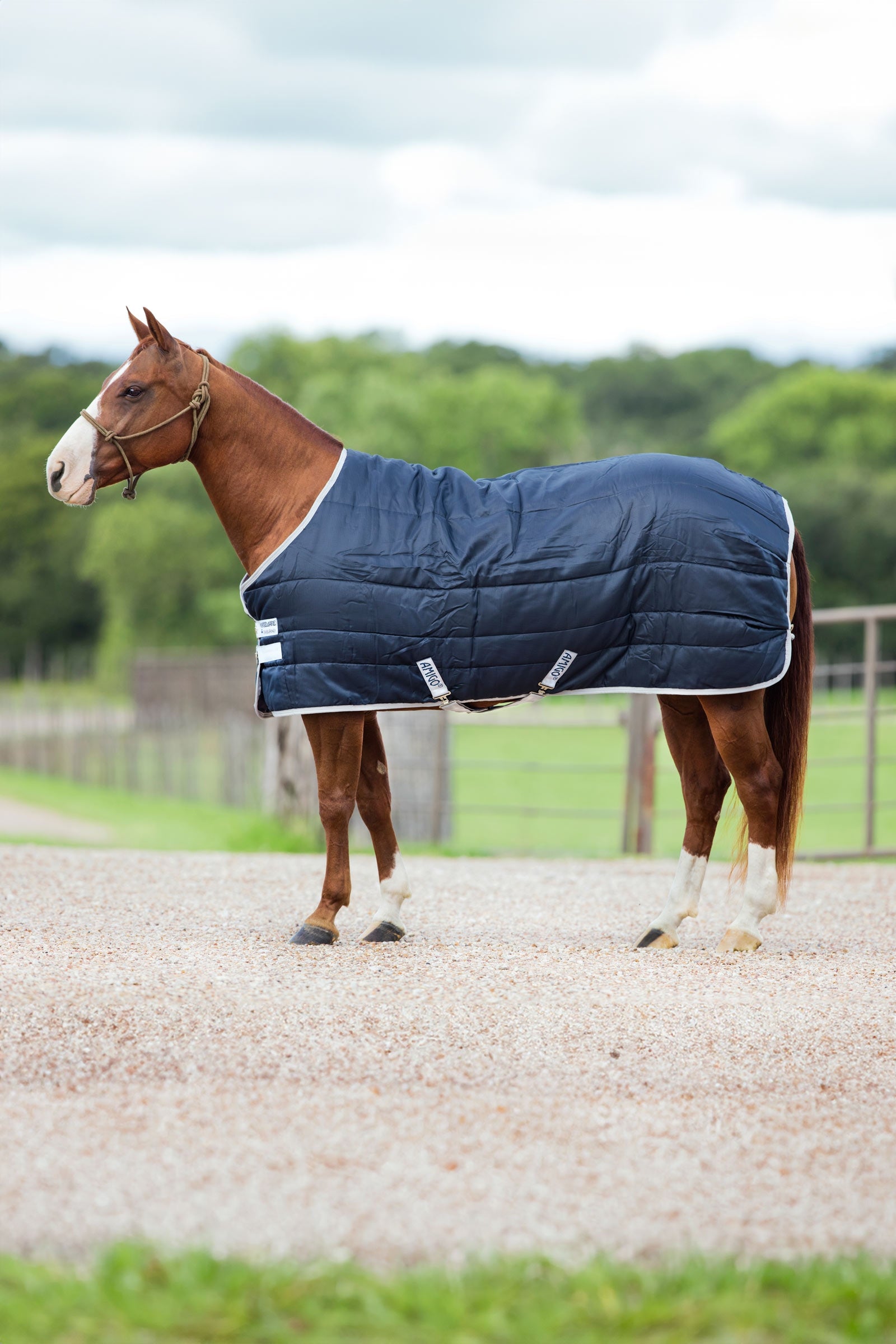 Horseware Amigo Insulator stalldekken, 200g Dekken