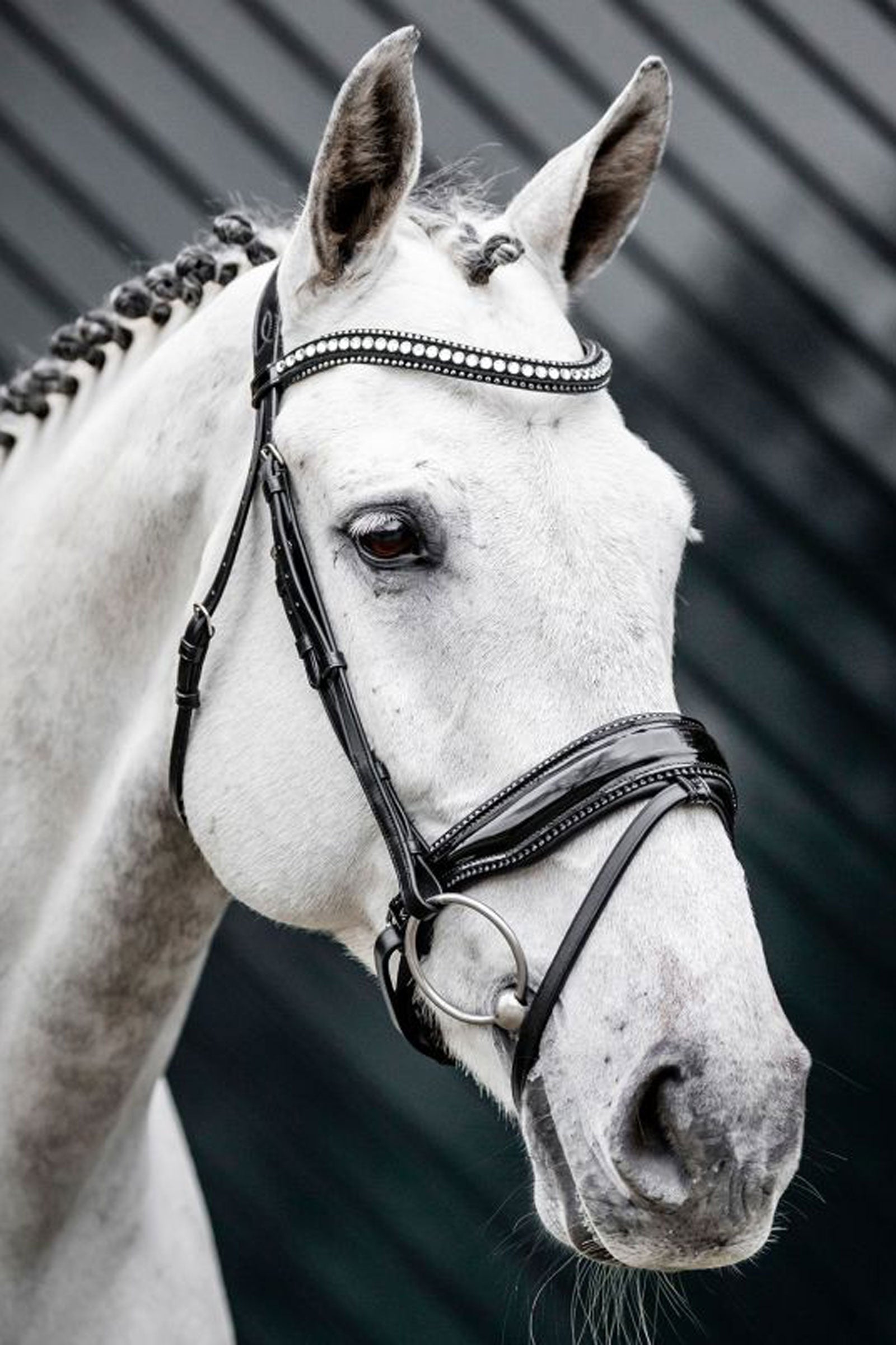 Horseware Diamante trinse med kombinert nesereim Hodelag & Tøyler