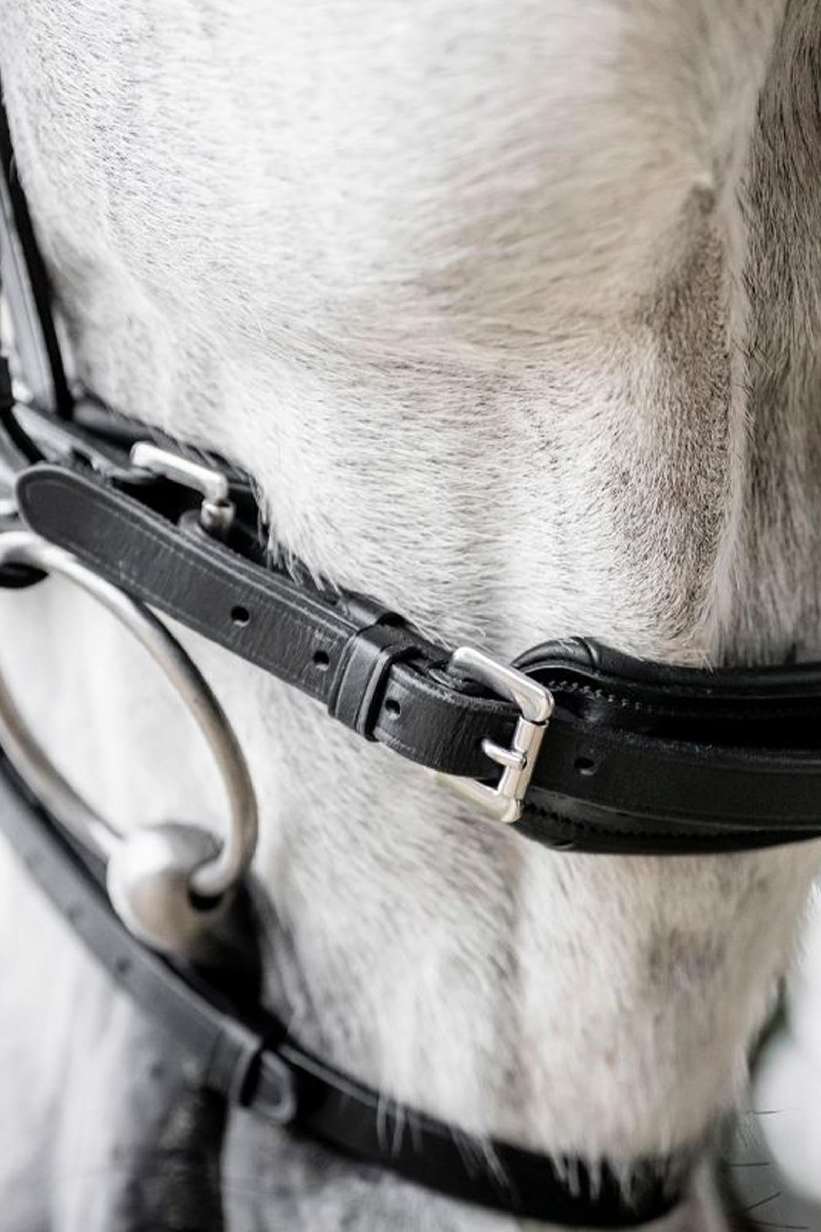 Horseware Diamante Flash Bridle Bridles & Reins