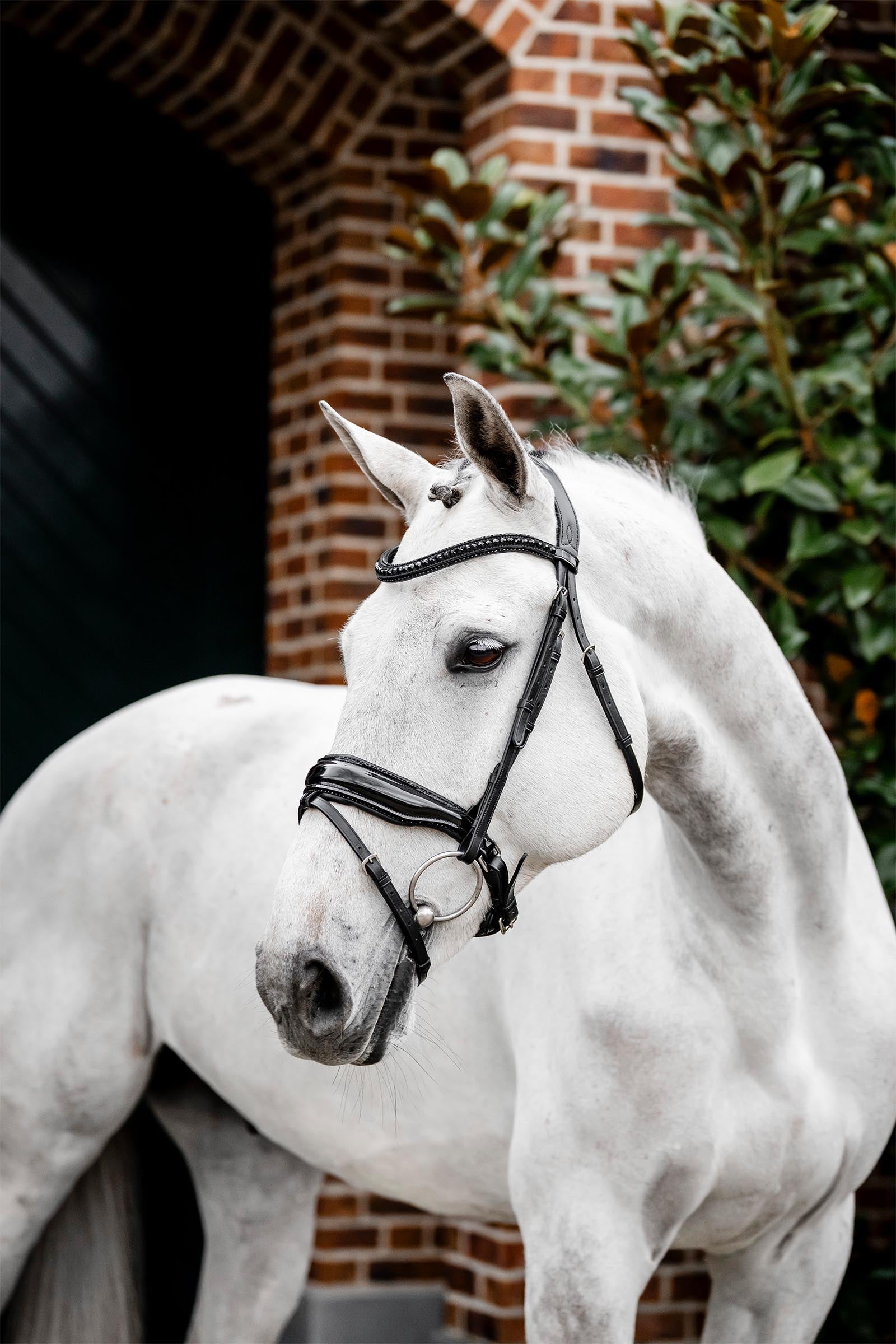 Horseware Diamante trinse med kombinert nesereim Hodelag & Tøyler
