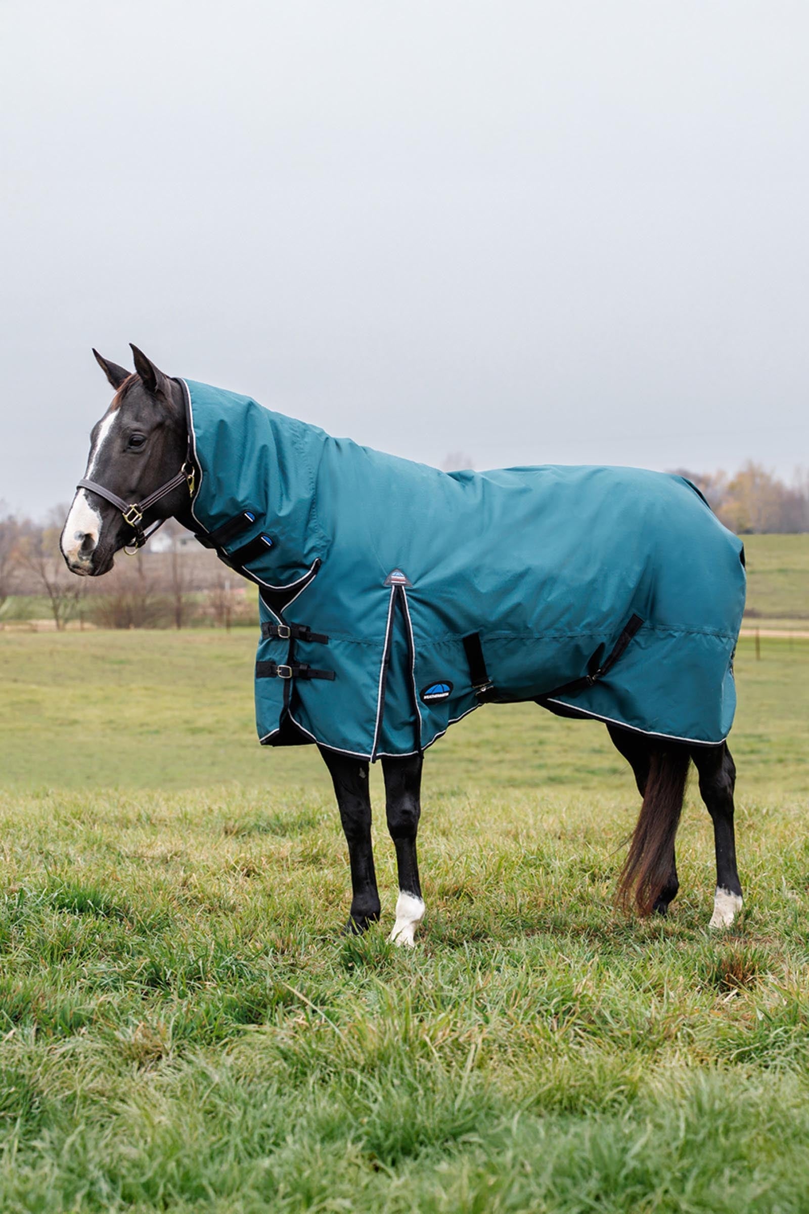 Weatherbeeta Comfitec Classic Turnout Rug Combo 220g Horse Rugs
