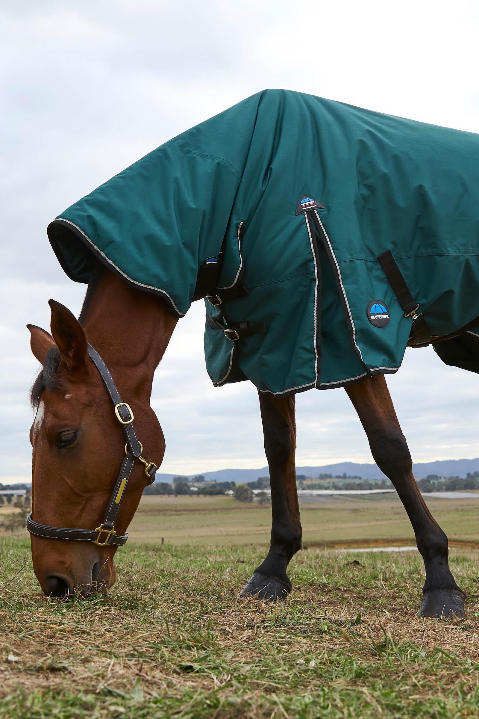 Weatherbeeta Comfitec Classic Turnout Rug Combo 220g Horse Rugs