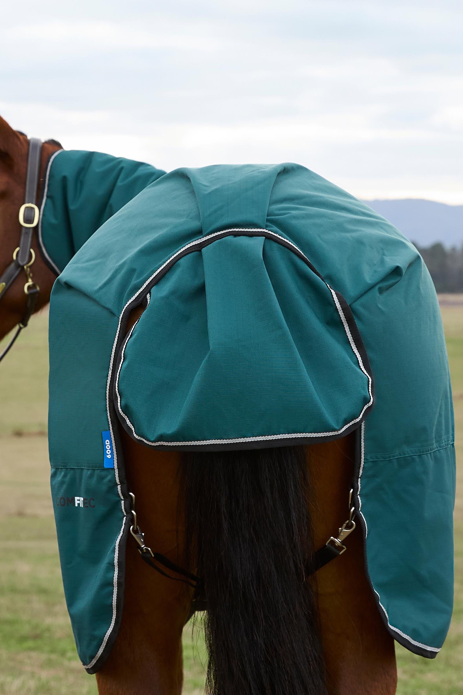 Weatherbeeta Comfitec Classic Turnout Rug Combo 220g Horse Rugs