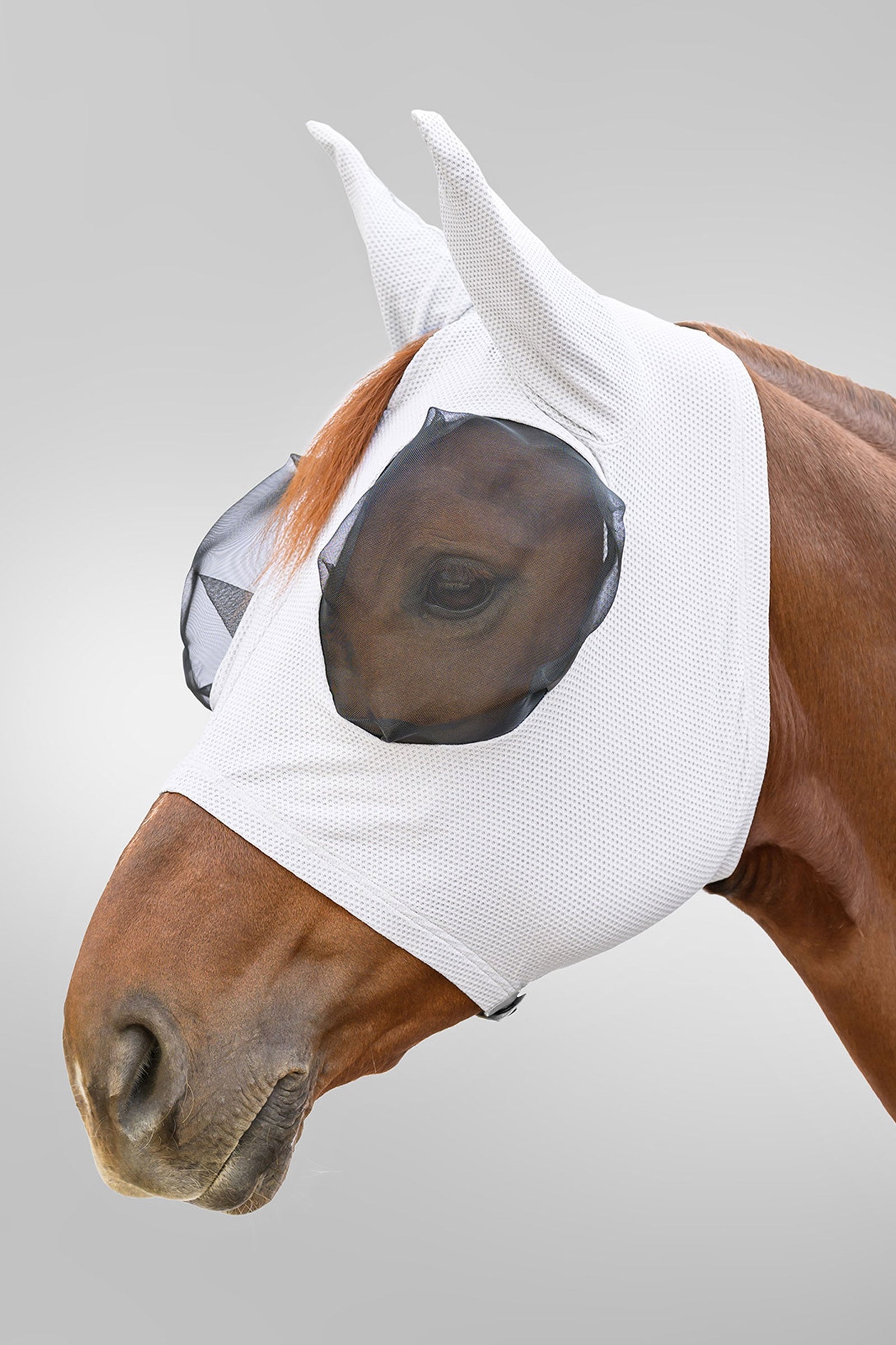 Waldhausen Breath Puck fluemaske med UV-beskyttelse Fluebeskyttelse til hest