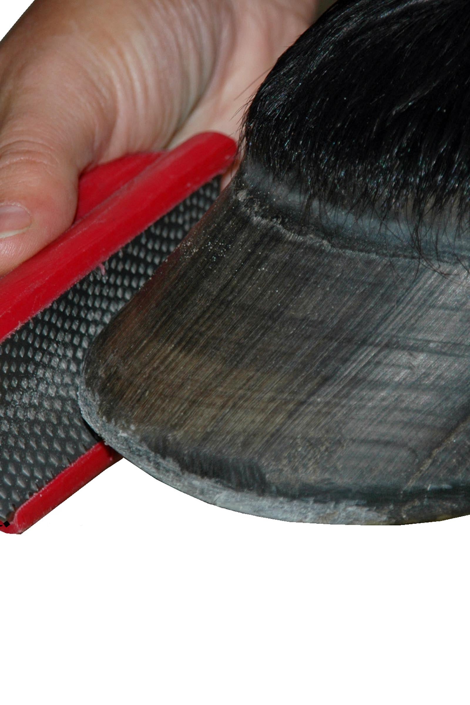 F.R.A. Freedom Riding Articles Replaceable Wrought Iron Blade, Rough Finish Farrier Tools