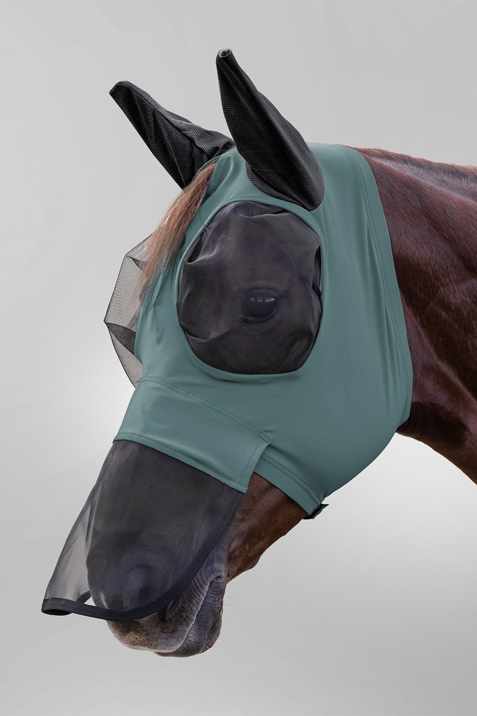 Waldhausen Puck fluemaske med nesebeskyttelse og UV-beskyttelse Fluebeskyttelse til hest