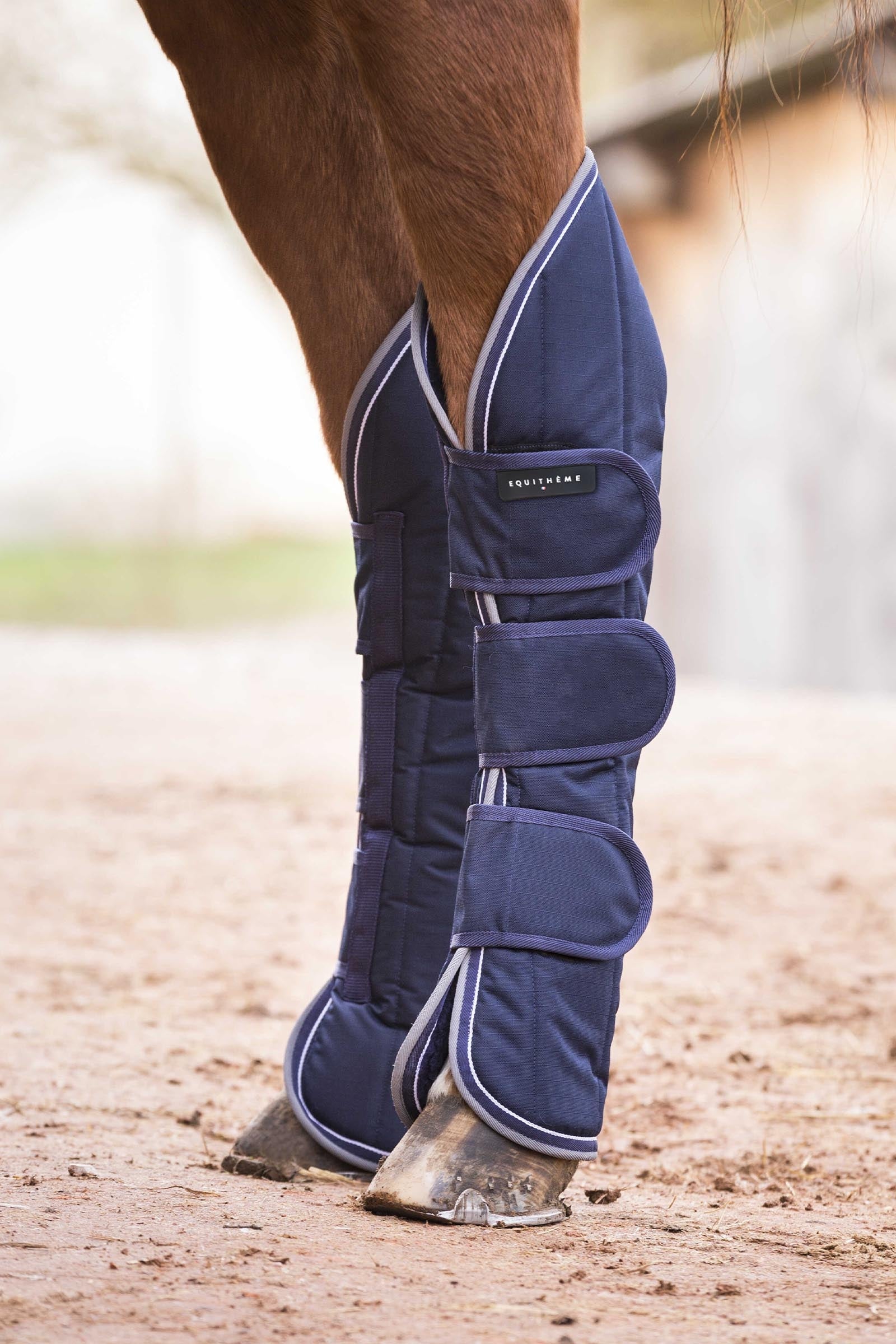 Equi Theme EQUITHÈME TYREX 600D vanntette transportbeskyttere Leg & Hoof Protection