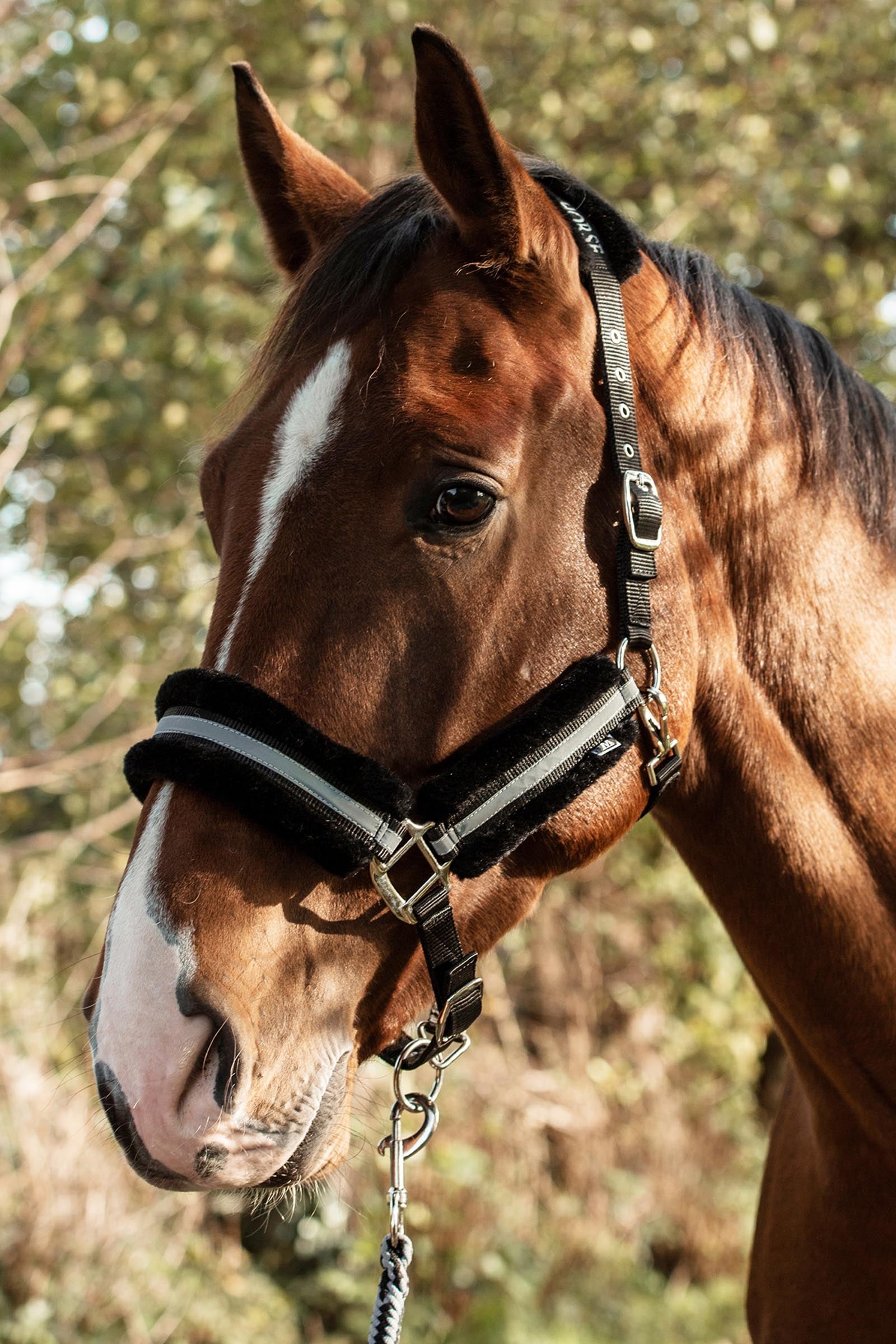 Mountain Horse Adjustable Halter With Faux Fur Grimer og leietau