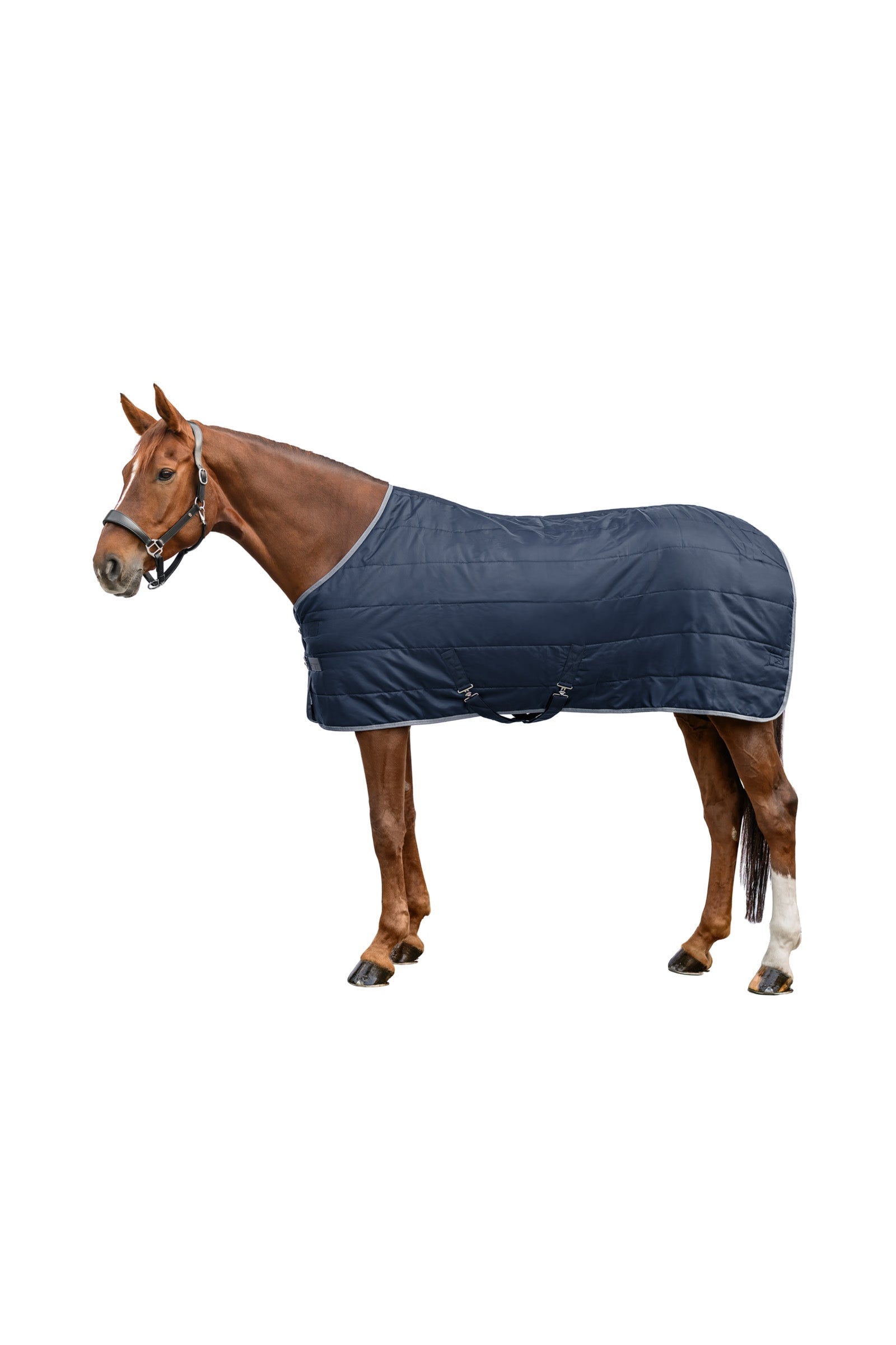 Waldhausen ECONOMIC Stable Rug, 200 g Horse Rugs