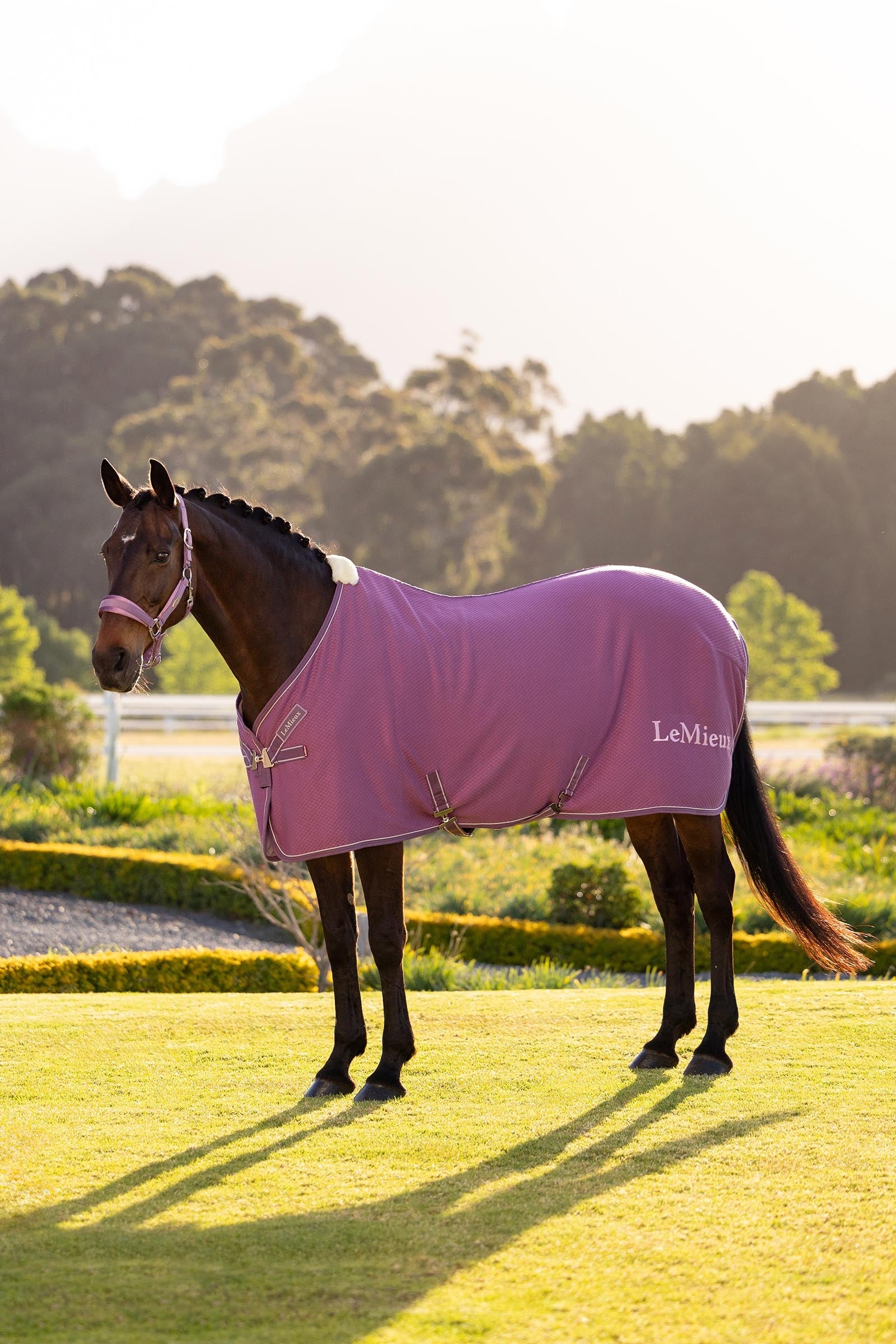 LeMieux Kudos Bamboo Cooler Horse Rugs