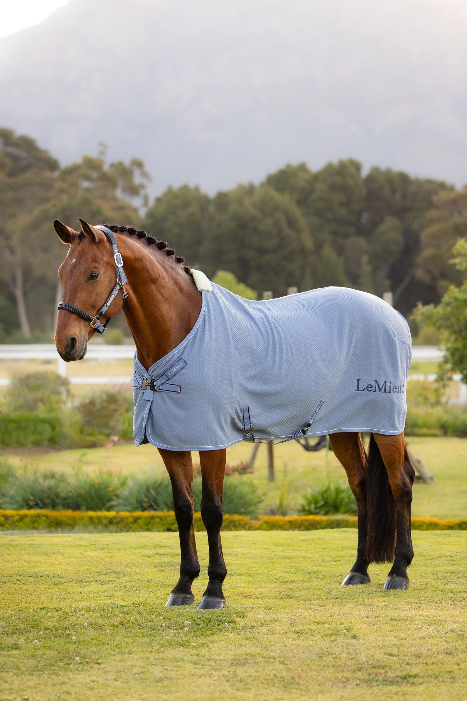 LeMieux Kudos Bambus Absorberende dekken Dekken