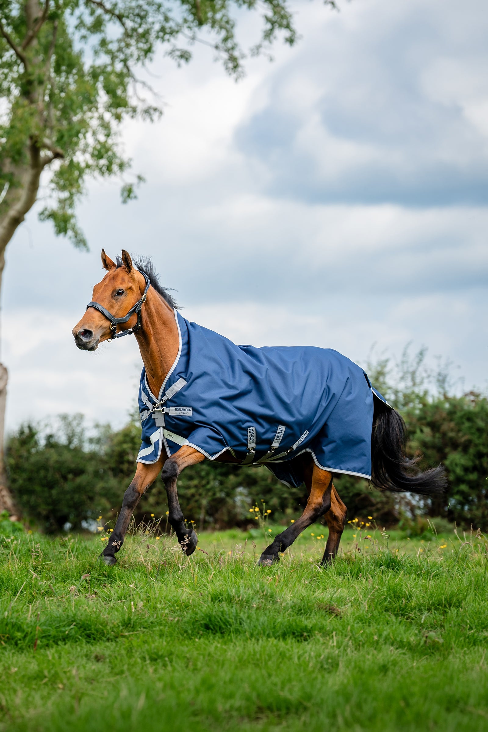 Horseware Amigo 1200D Wug Turnout 150 g Horse Rugs